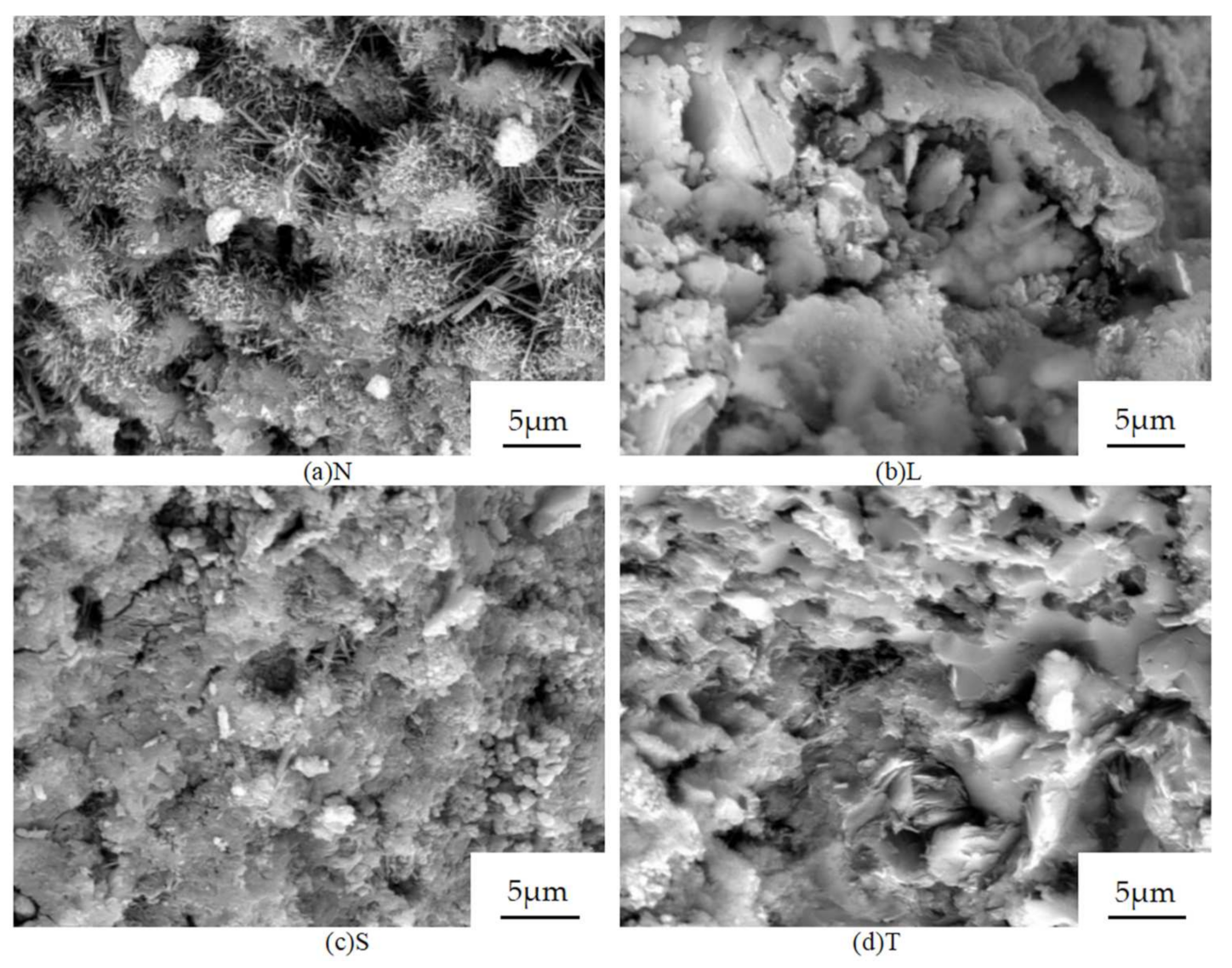 Coatings 12 00162 g015 Coatings 12 00162 g015