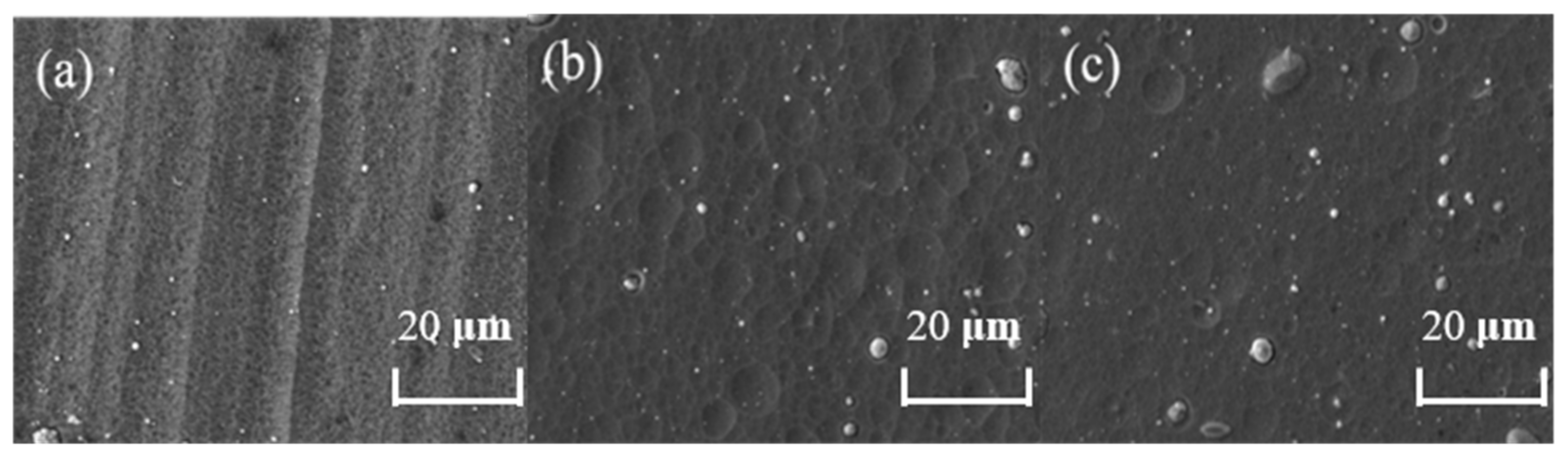 Coatings 12 00163 g004