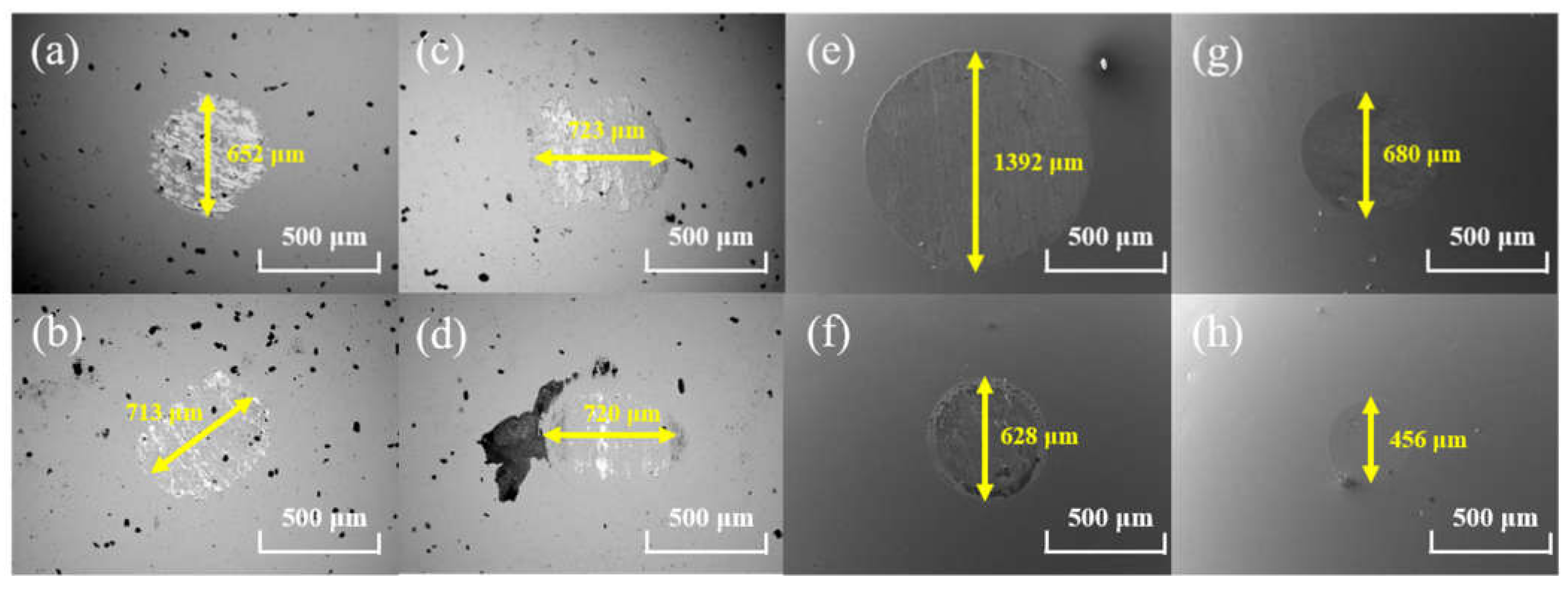 Coatings 12 00163 g008