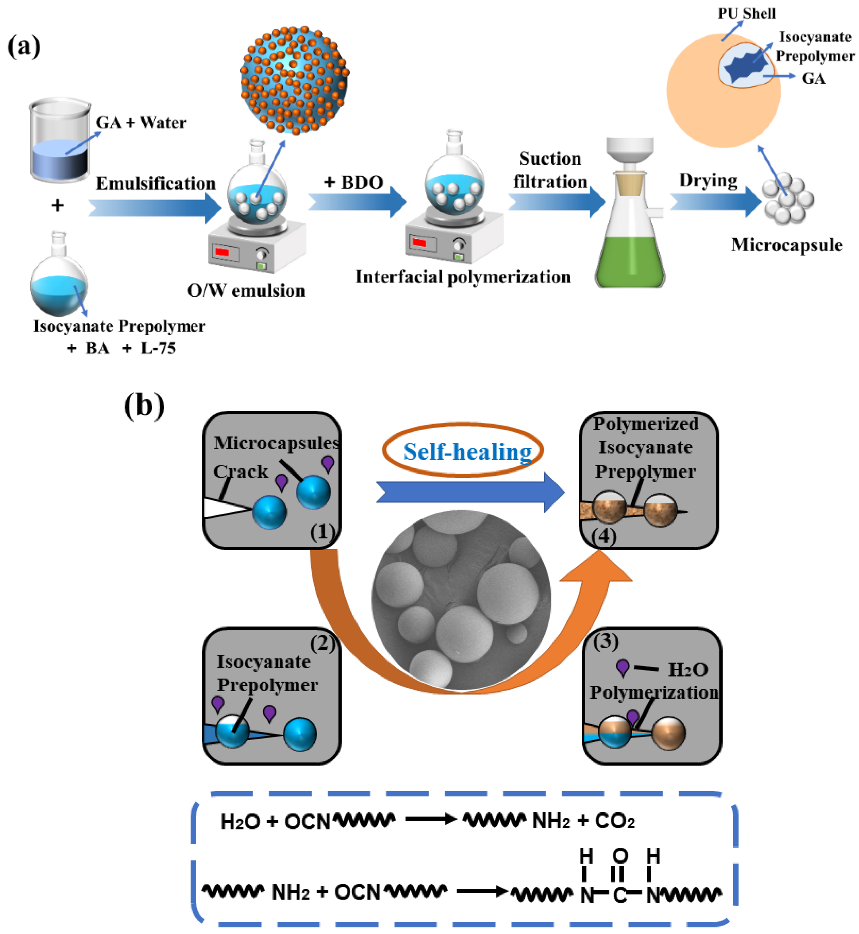 Coatings 12 00166 g002