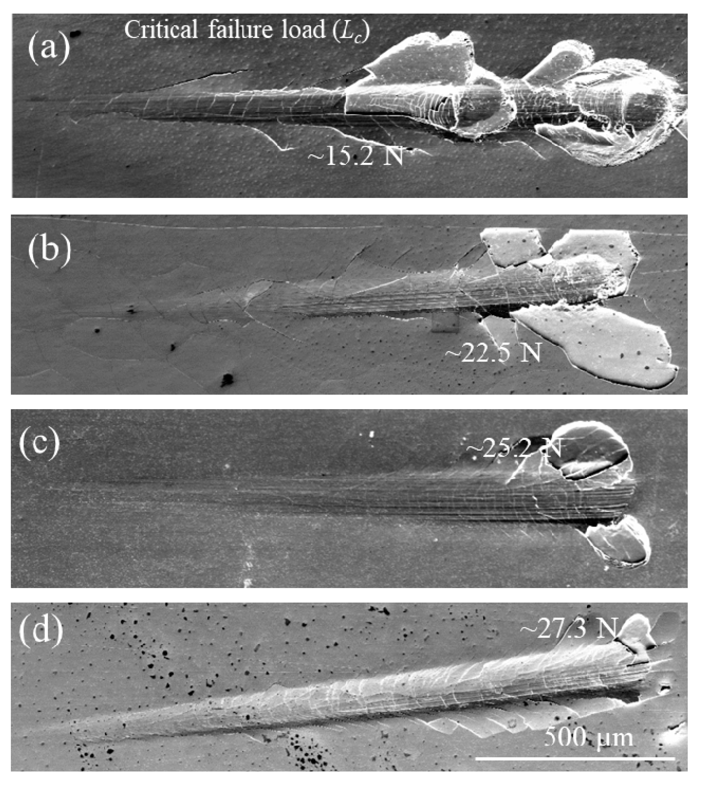 Coatings 12 00167 g004