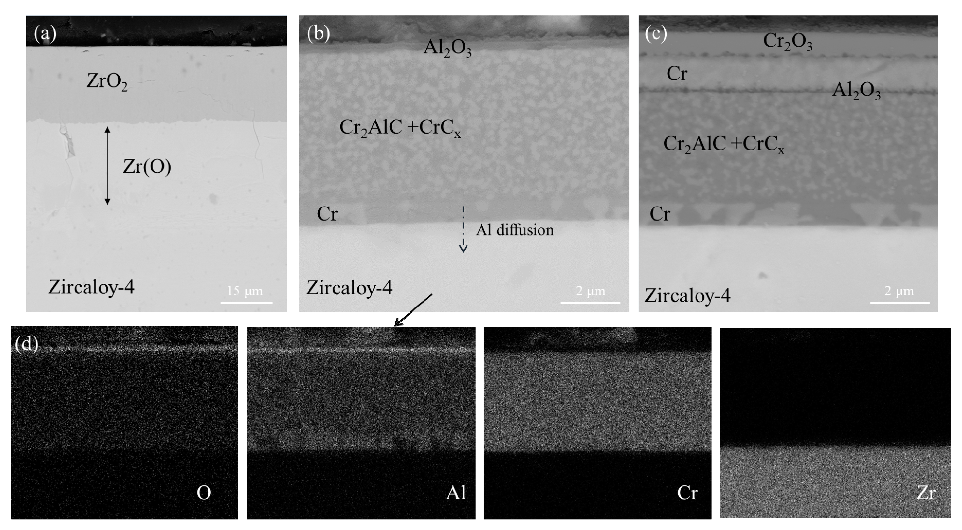 Coatings 12 00167 g006