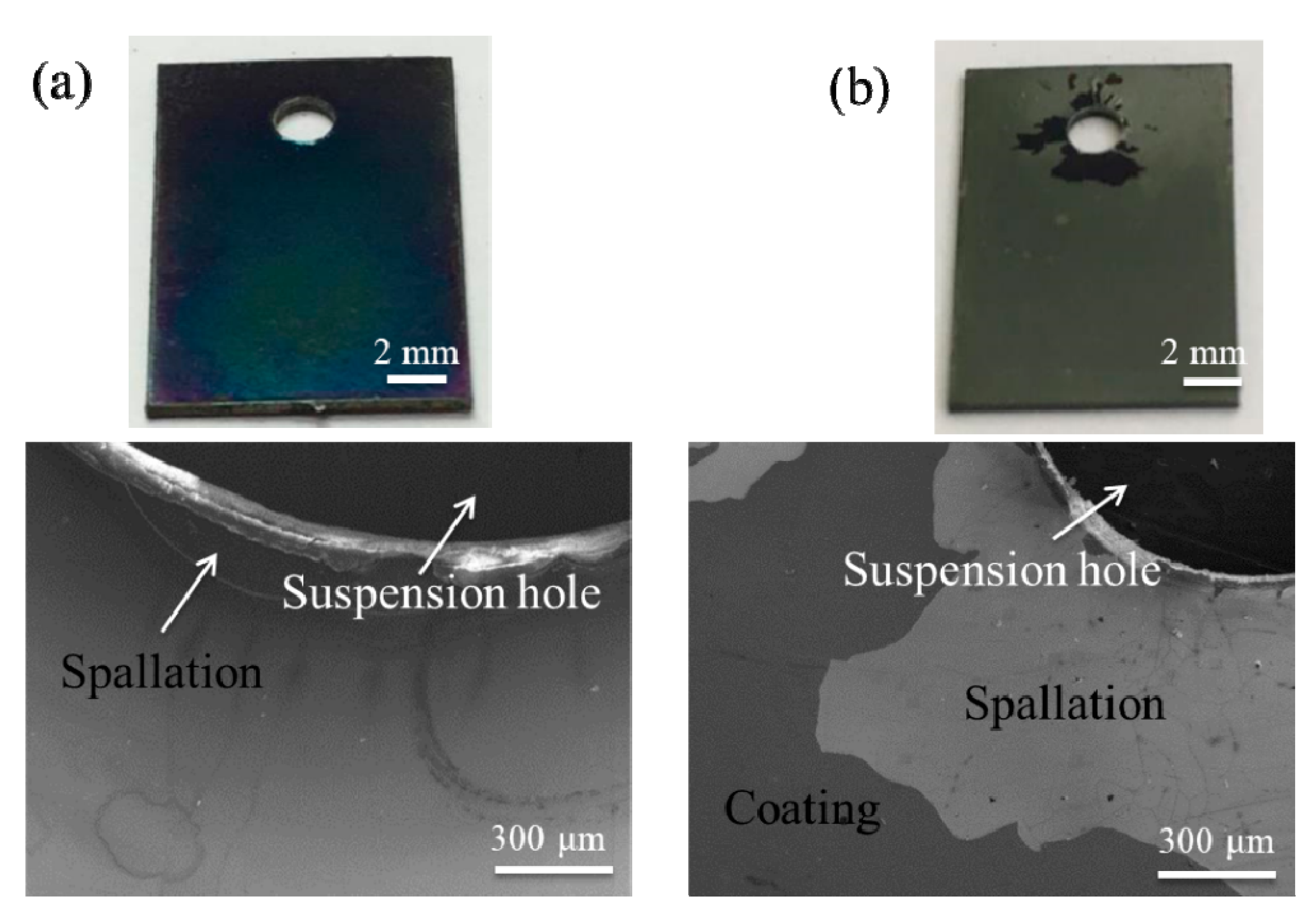 Coatings 12 00167 g007