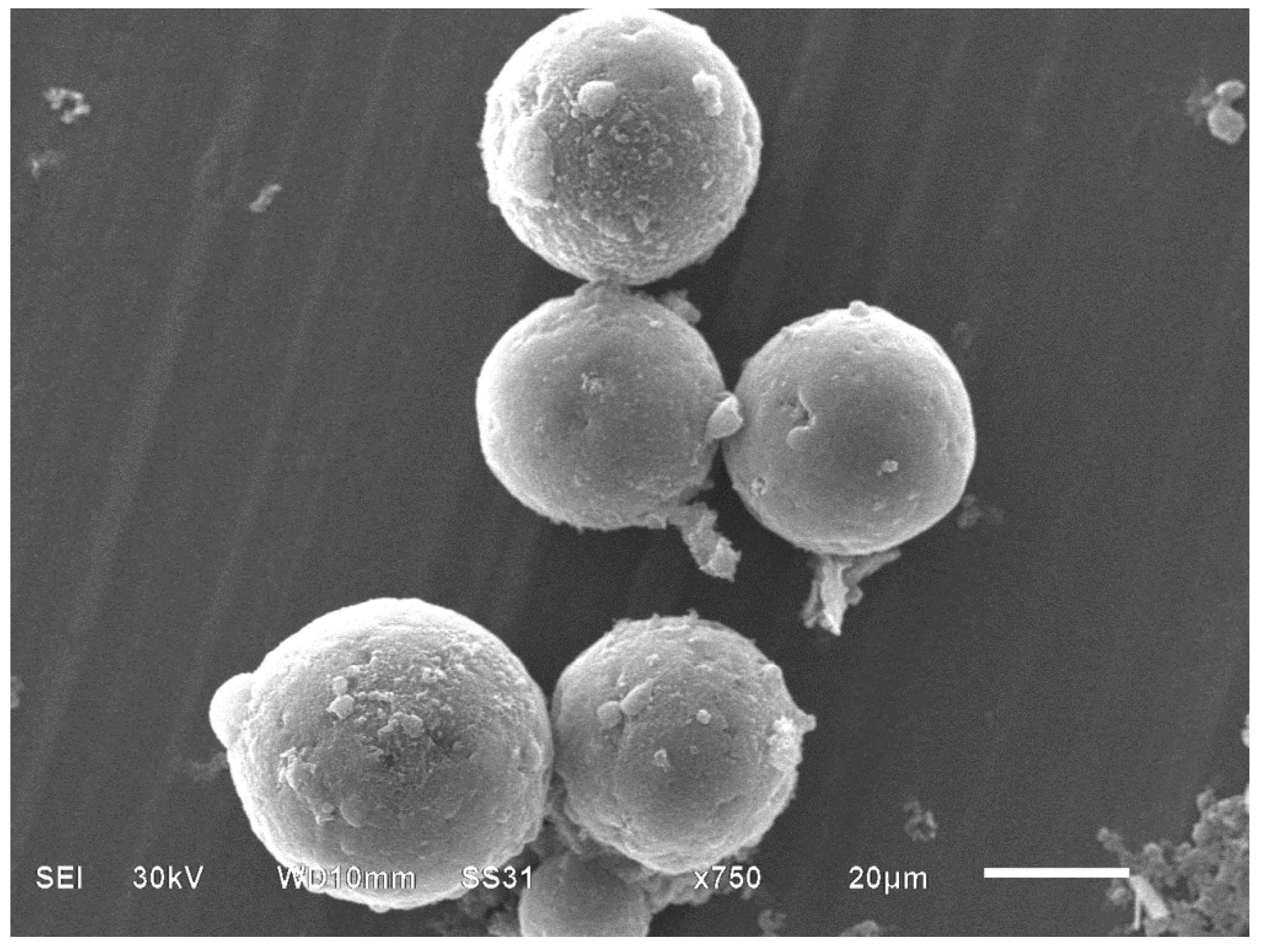 Coatings 12 00168 g001