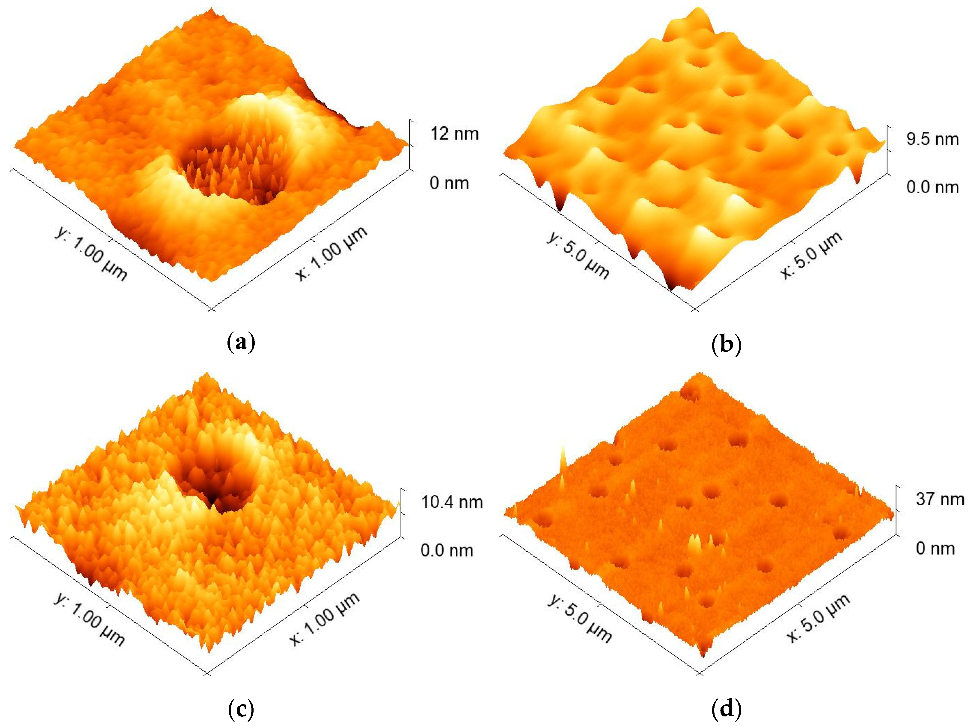 Coatings 12 00170 g002