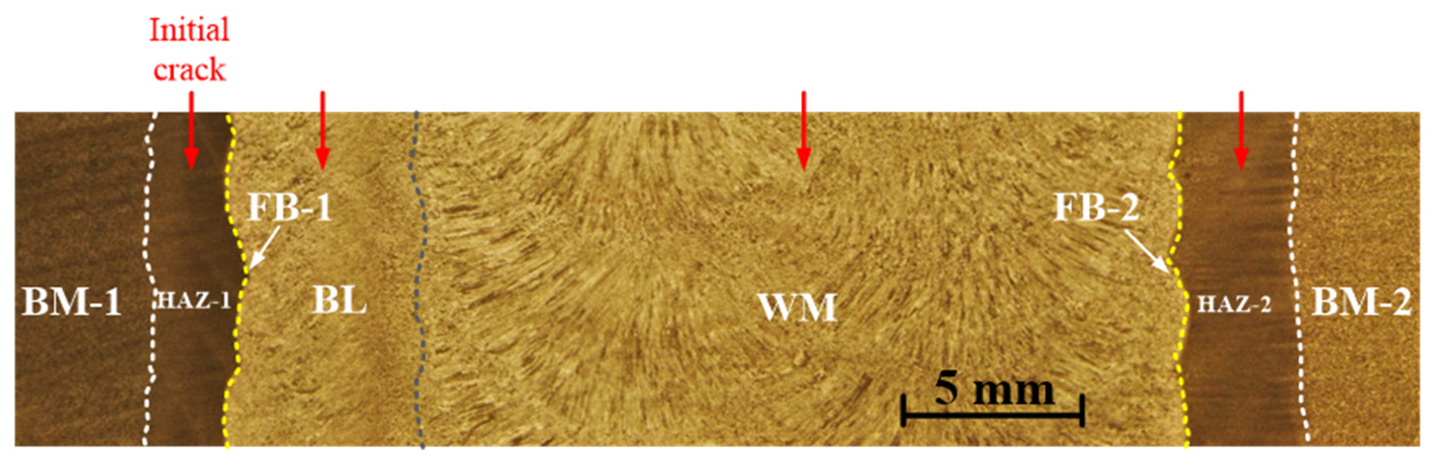 Coatings 12 00174 g002