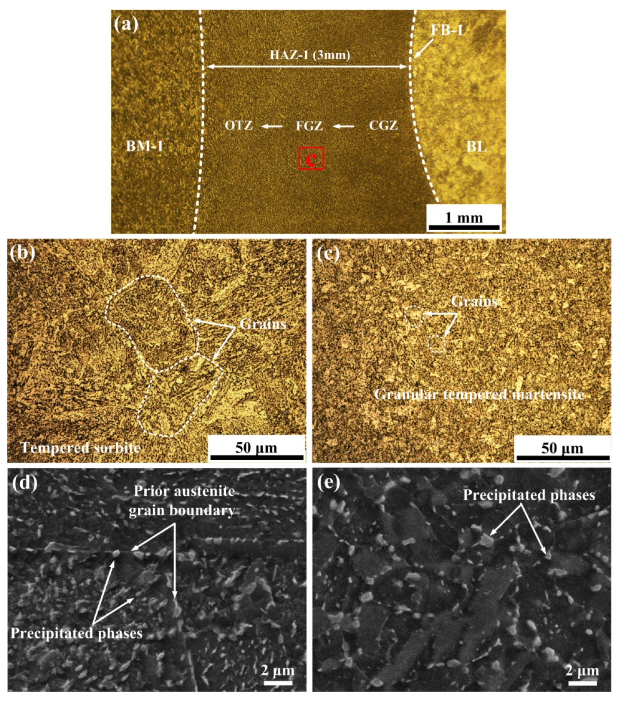 Coatings 12 00174 g007