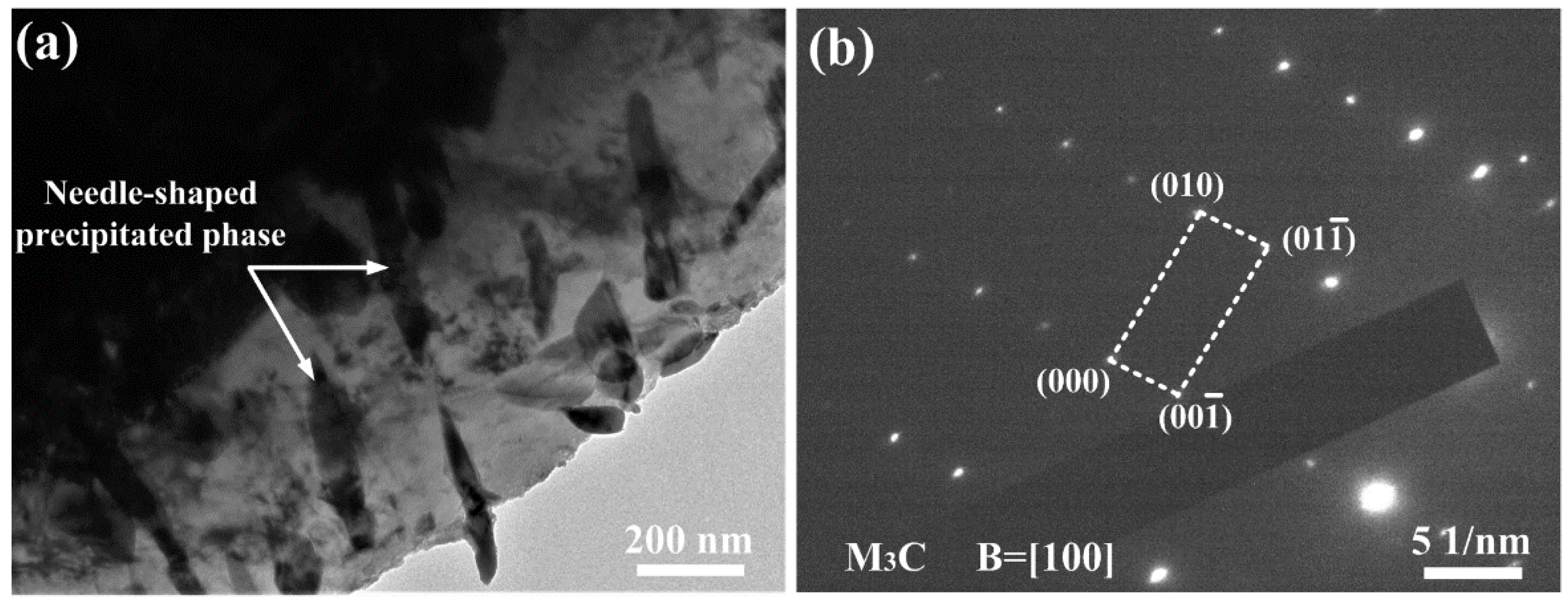 Coatings 12 00174 g008