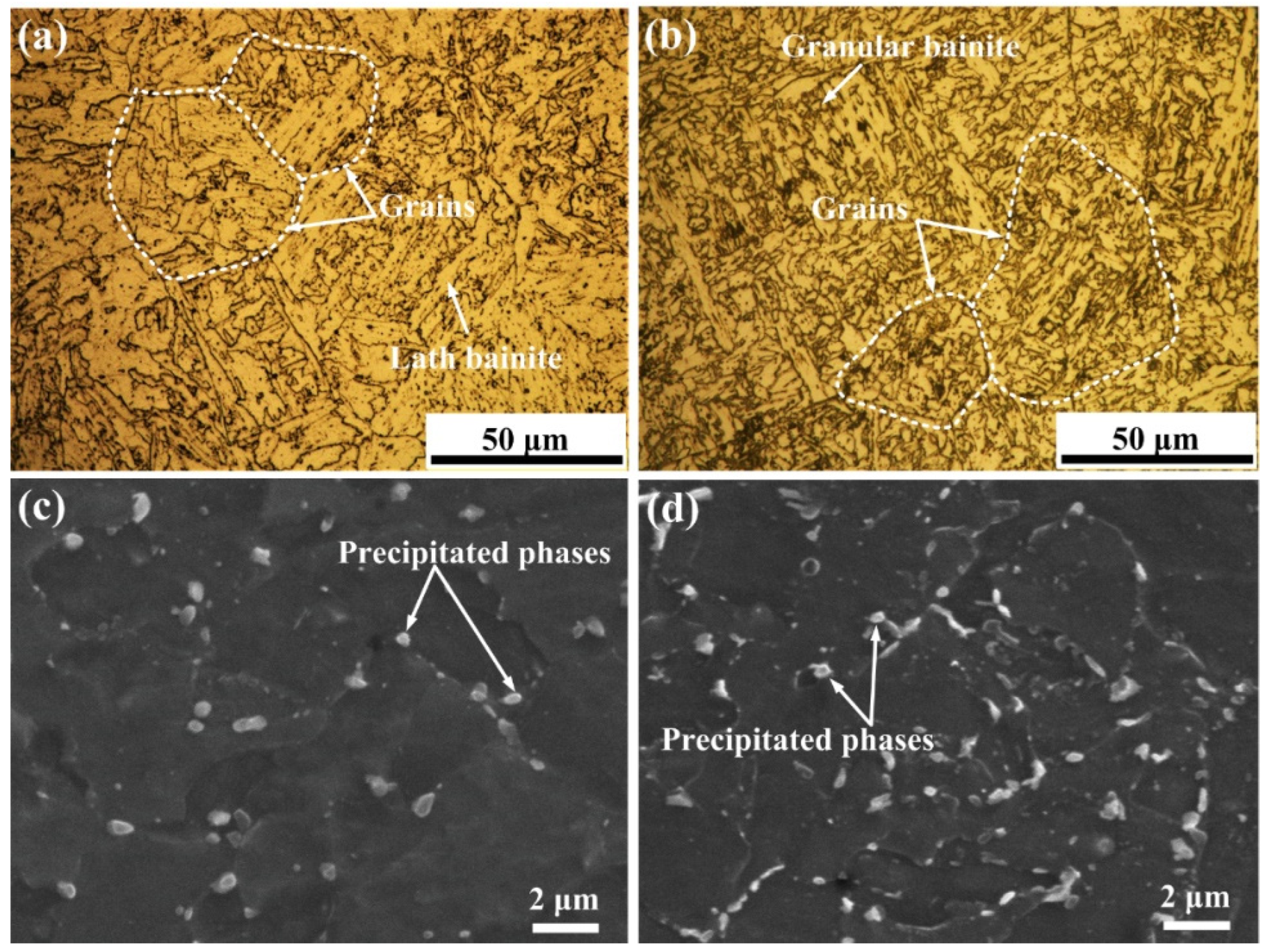 Coatings 12 00174 g009
