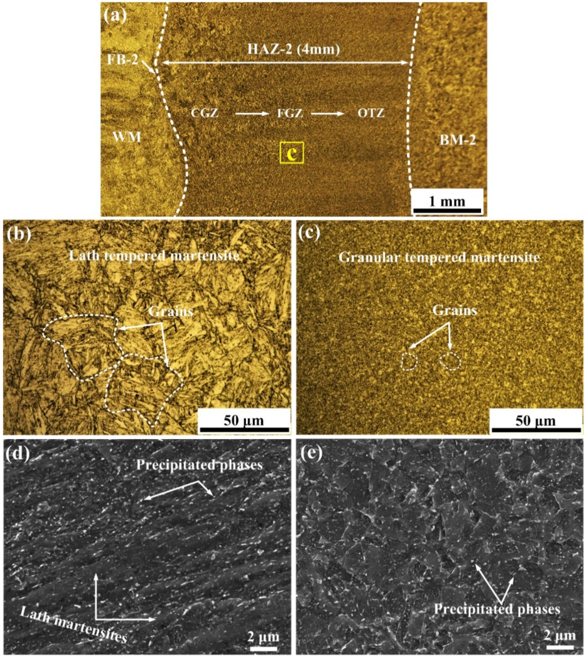 Coatings 12 00174 g011