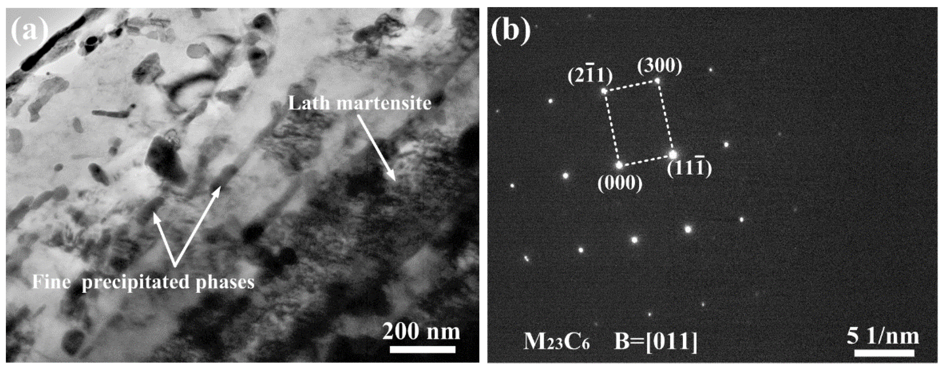 Coatings 12 00174 g012