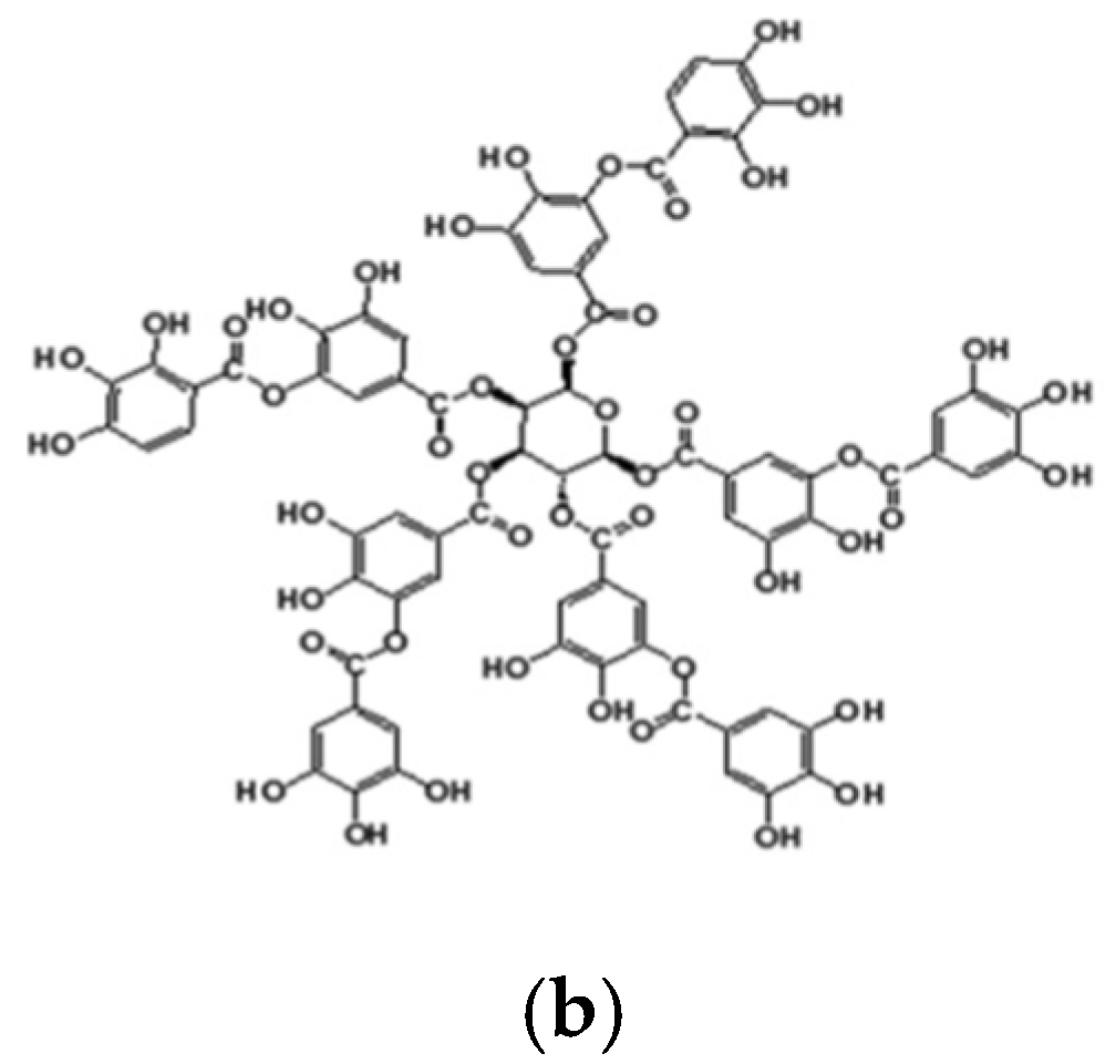 Coatings 12 00178 g001b