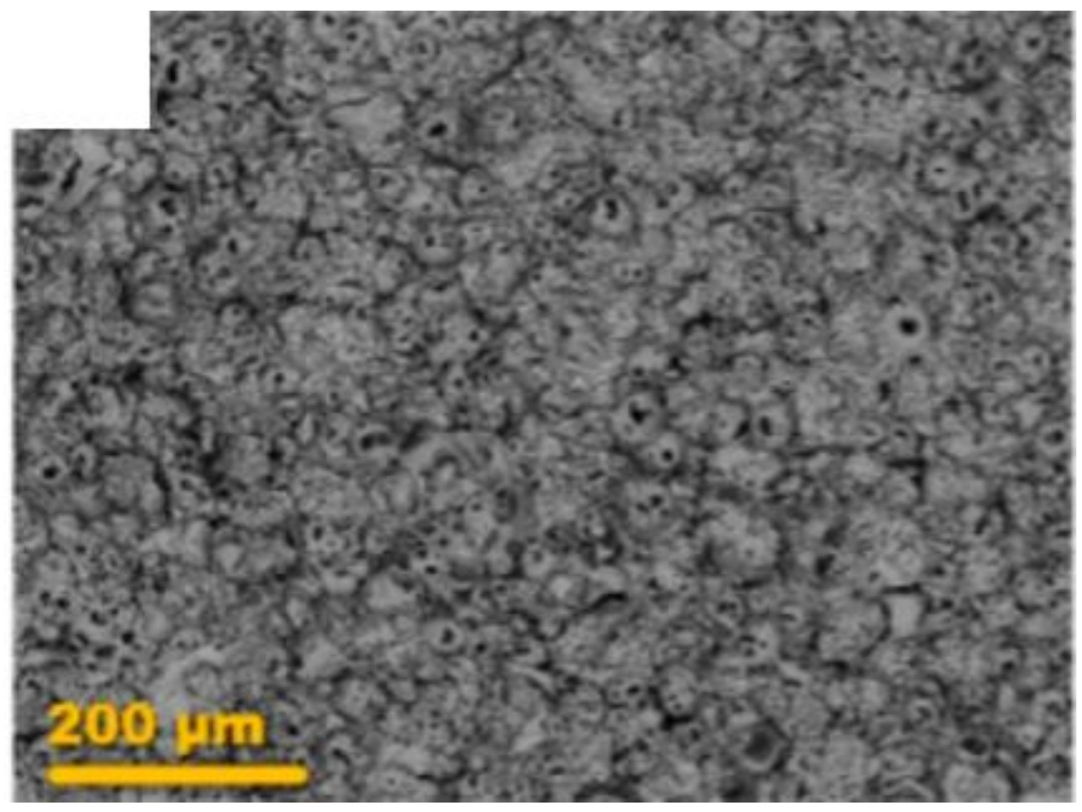 Coatings 12 00180 g004 Coatings 12 00180 g004