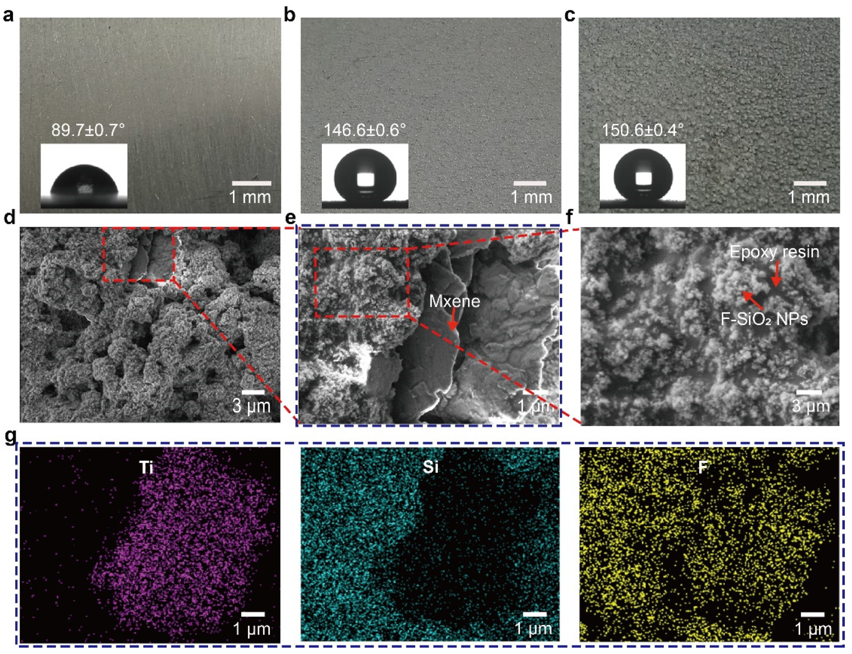 Coatings 12 00185 g002