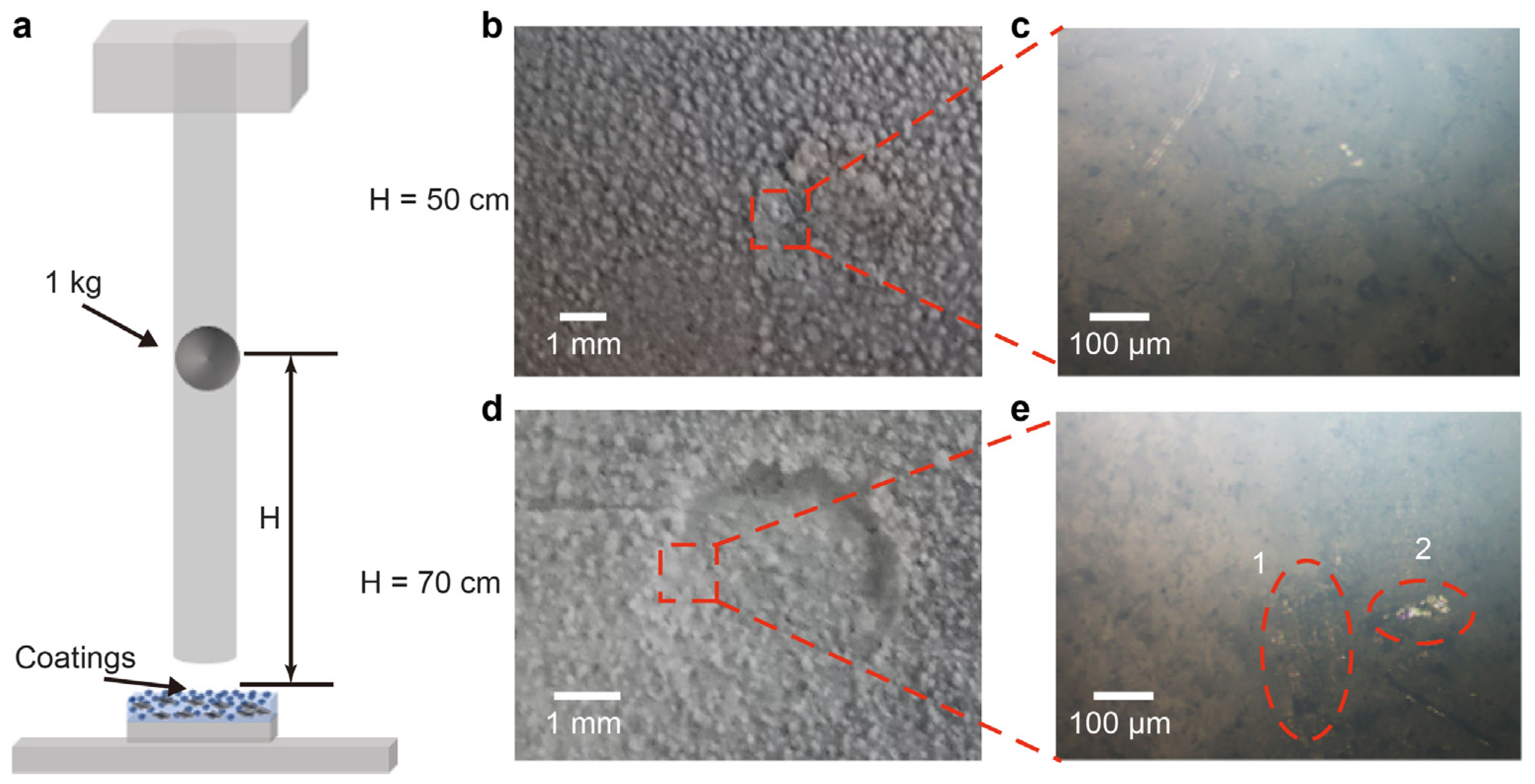 Coatings 12 00185 g006