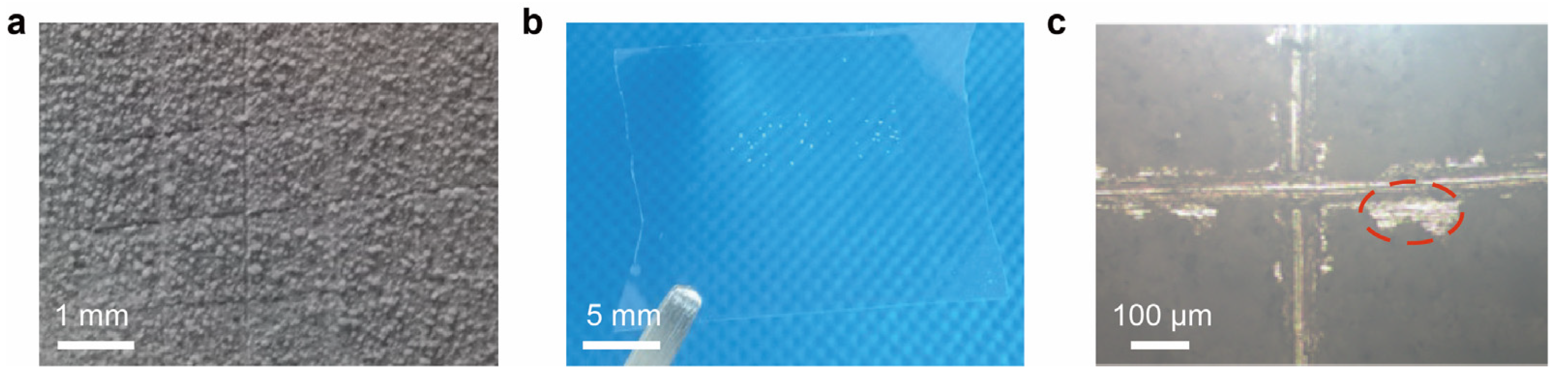 Coatings 12 00185 g007