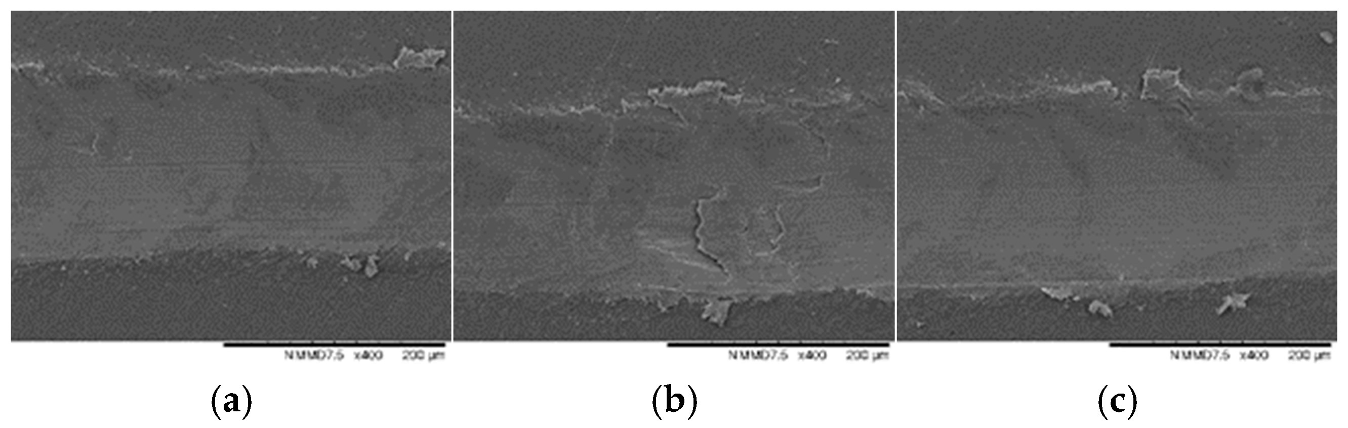 Coatings 12 00195 g014 Coatings 12 00195 g014