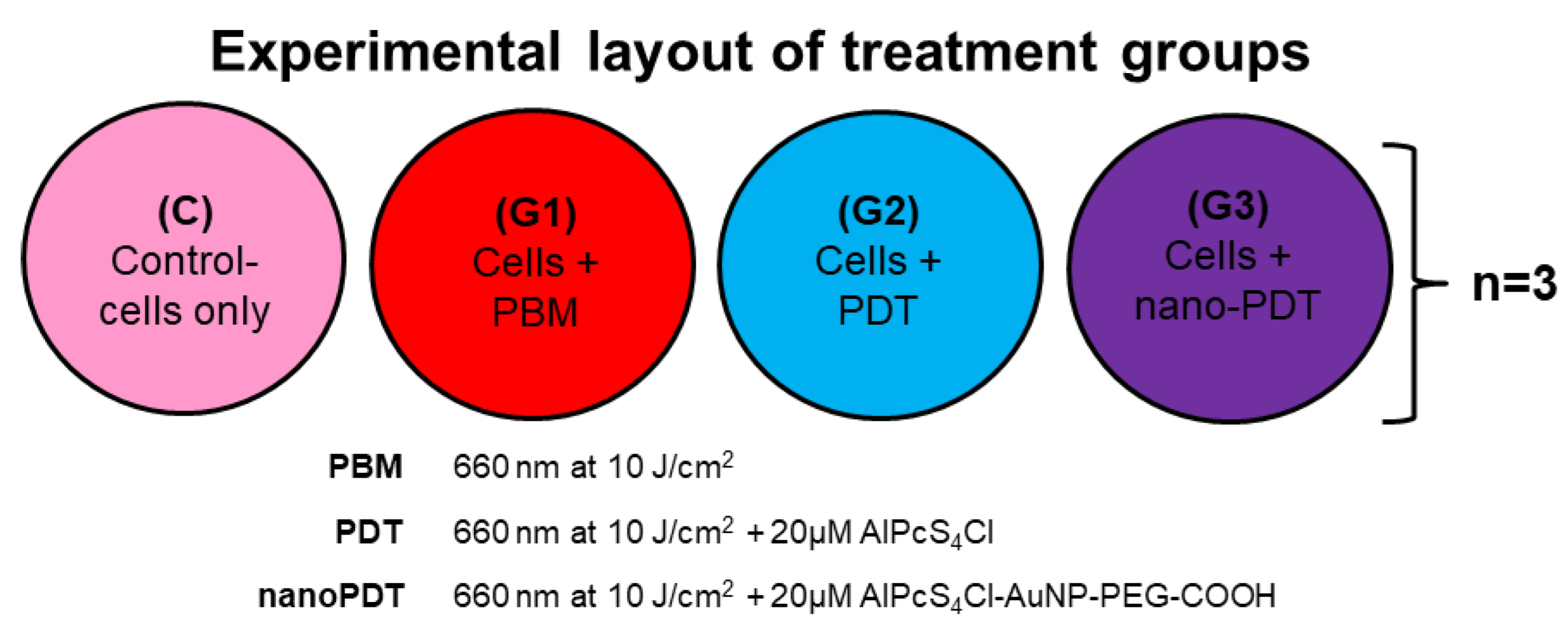 Coatings 12 00199 g001