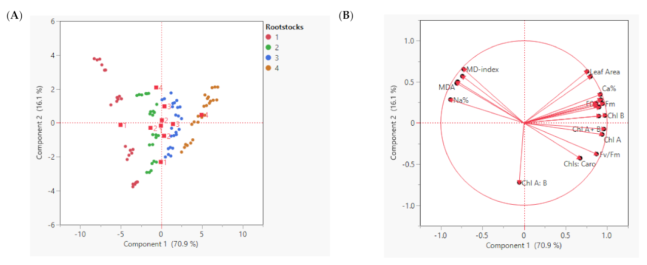 Coatings 12 00201 g002