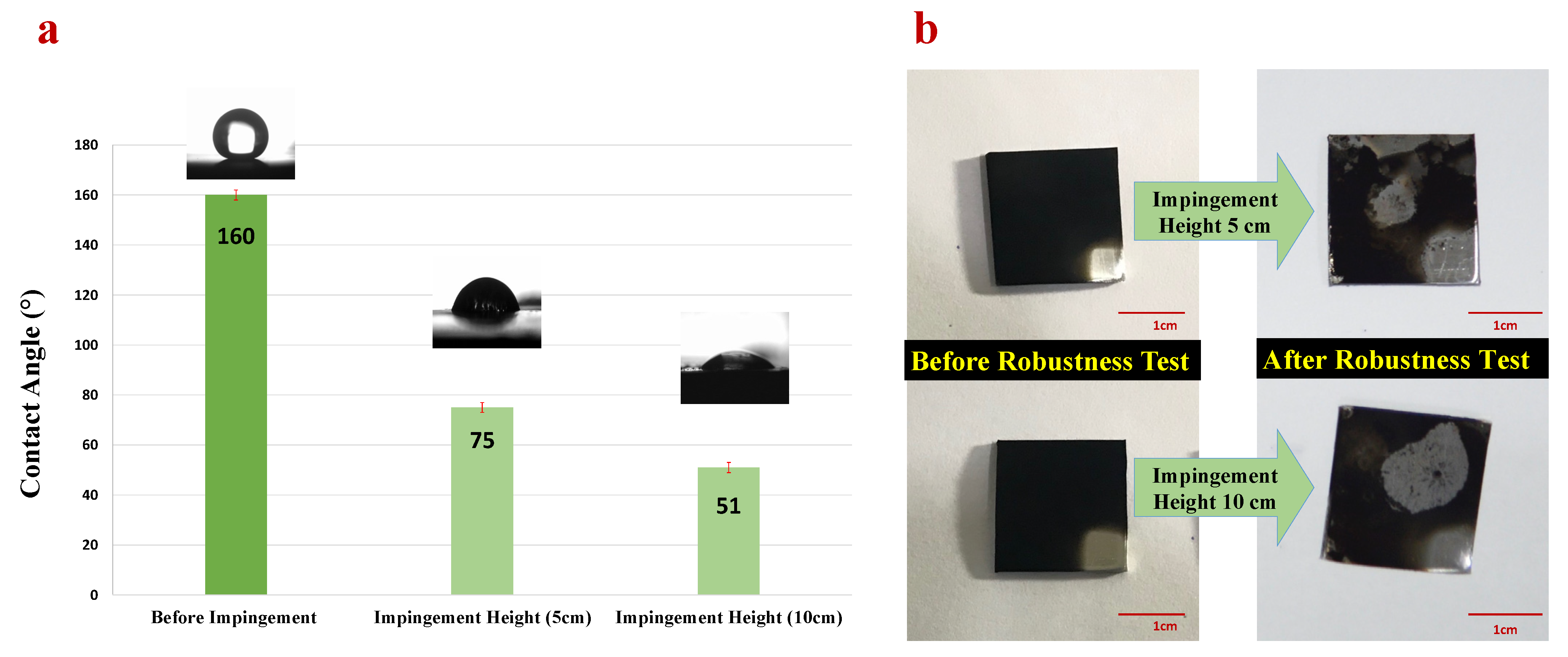 Coatings 12 00202 g006