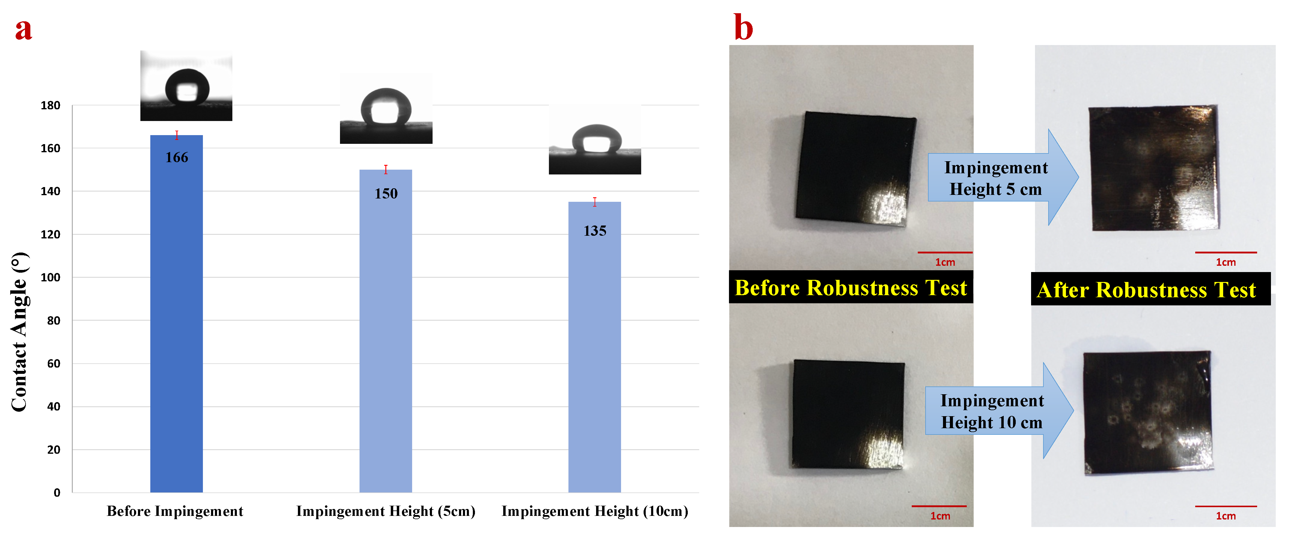 Coatings 12 00202 g007