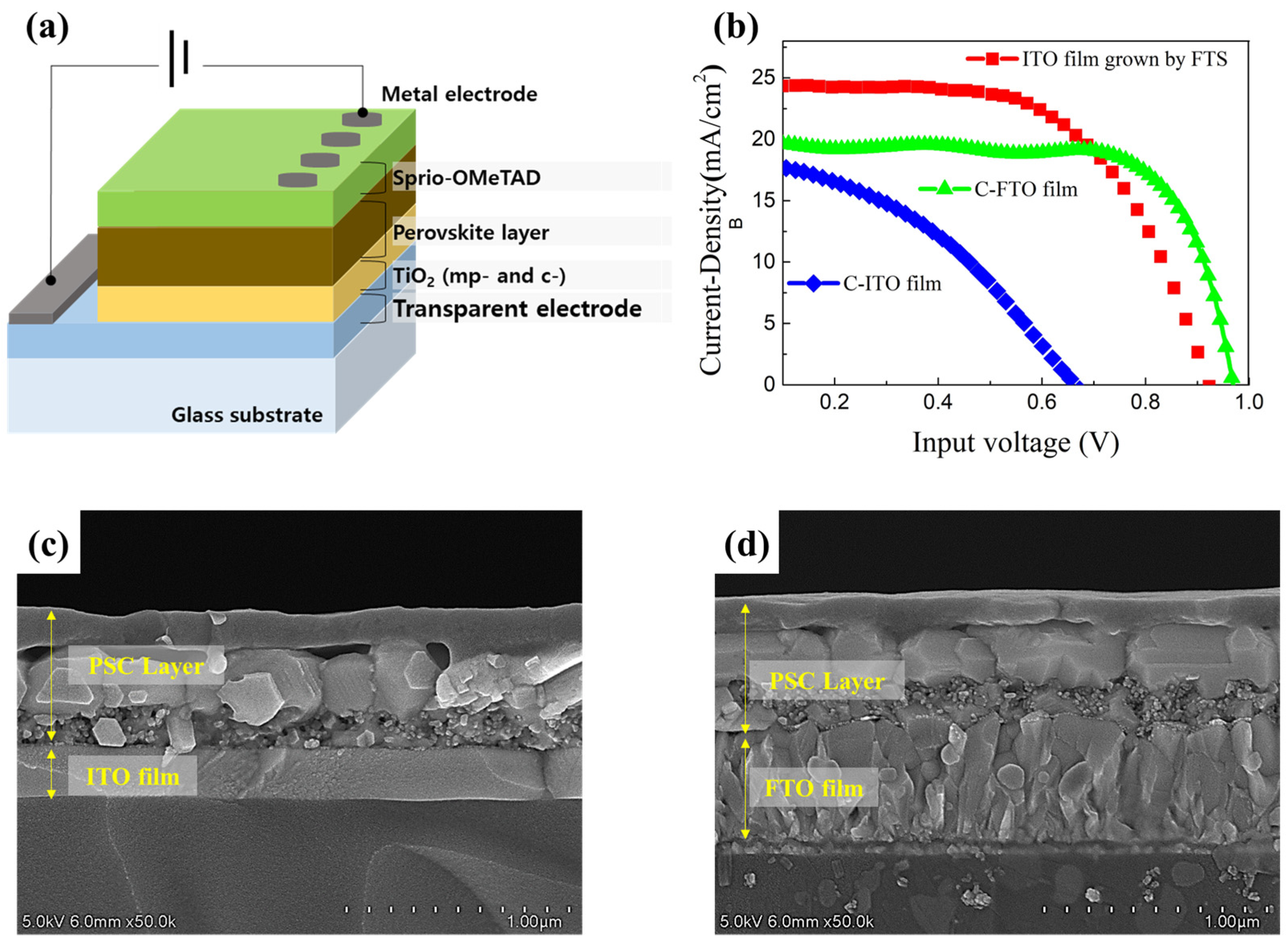 Coatings 12 00203 g006