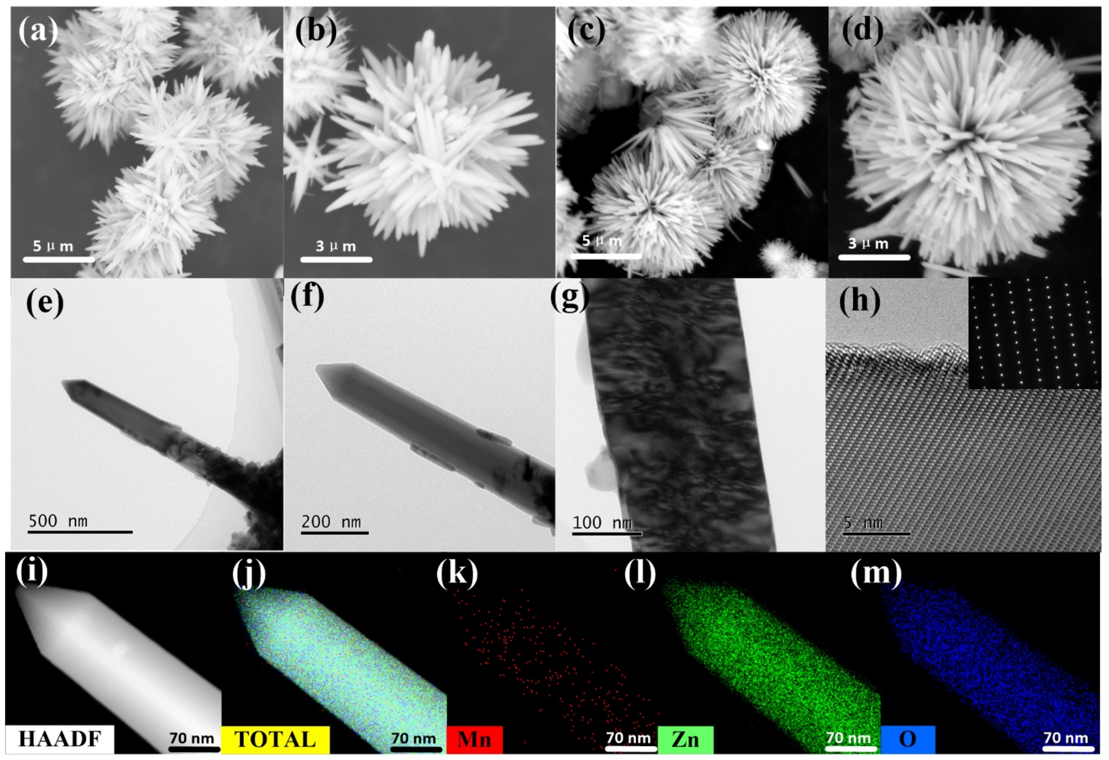 Coatings 12 00205 g003