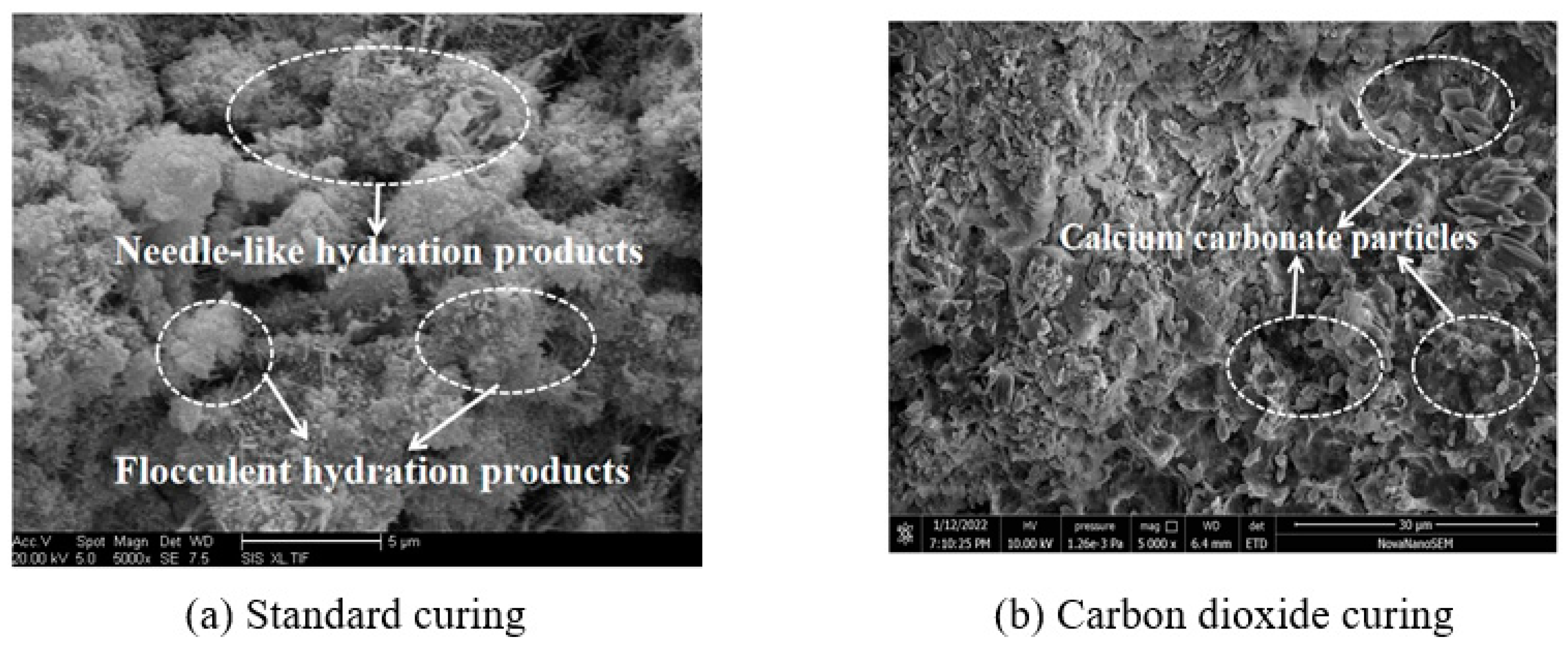 Coatings 12 00209 g011