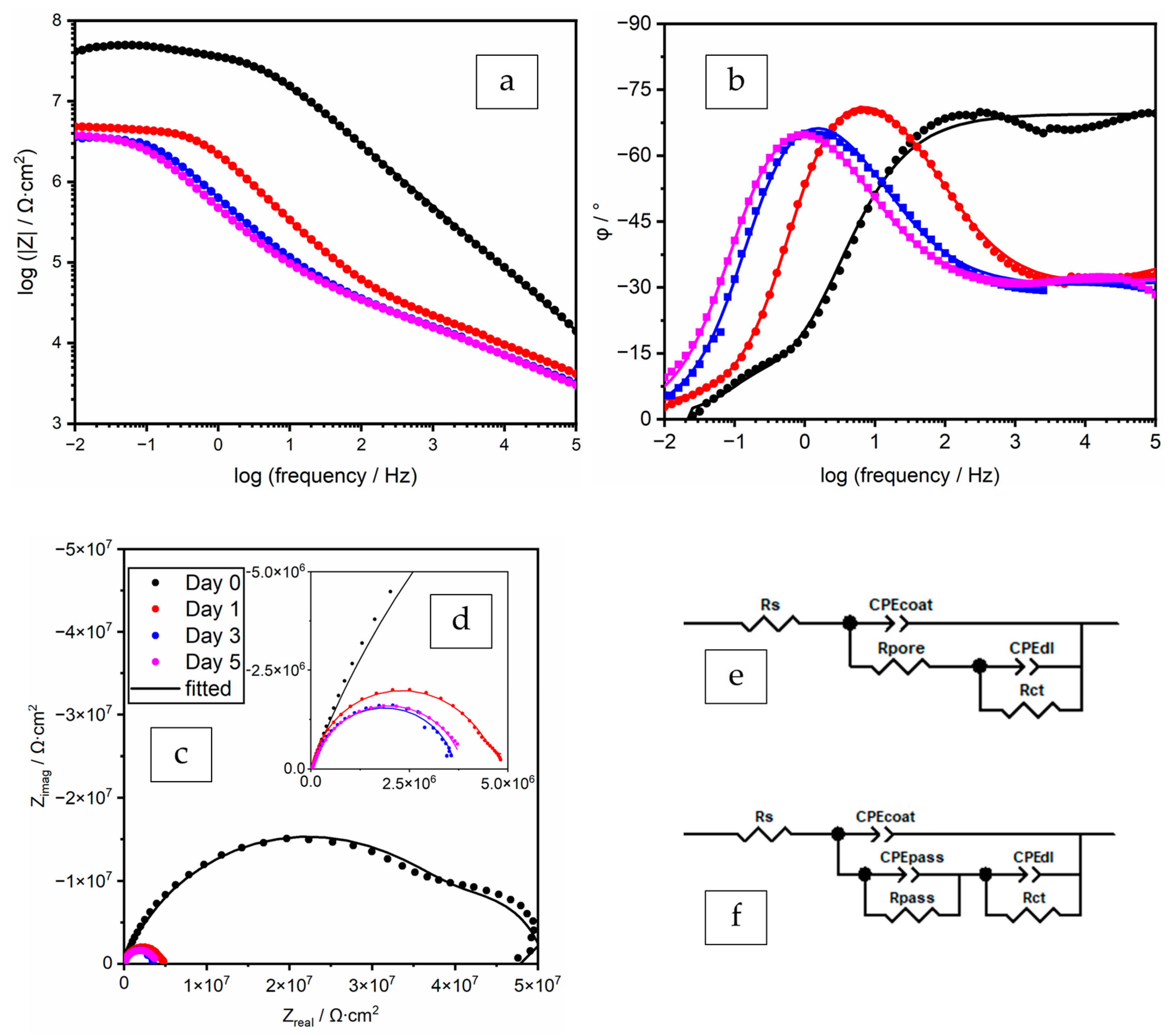 Coatings 12 00217 g006