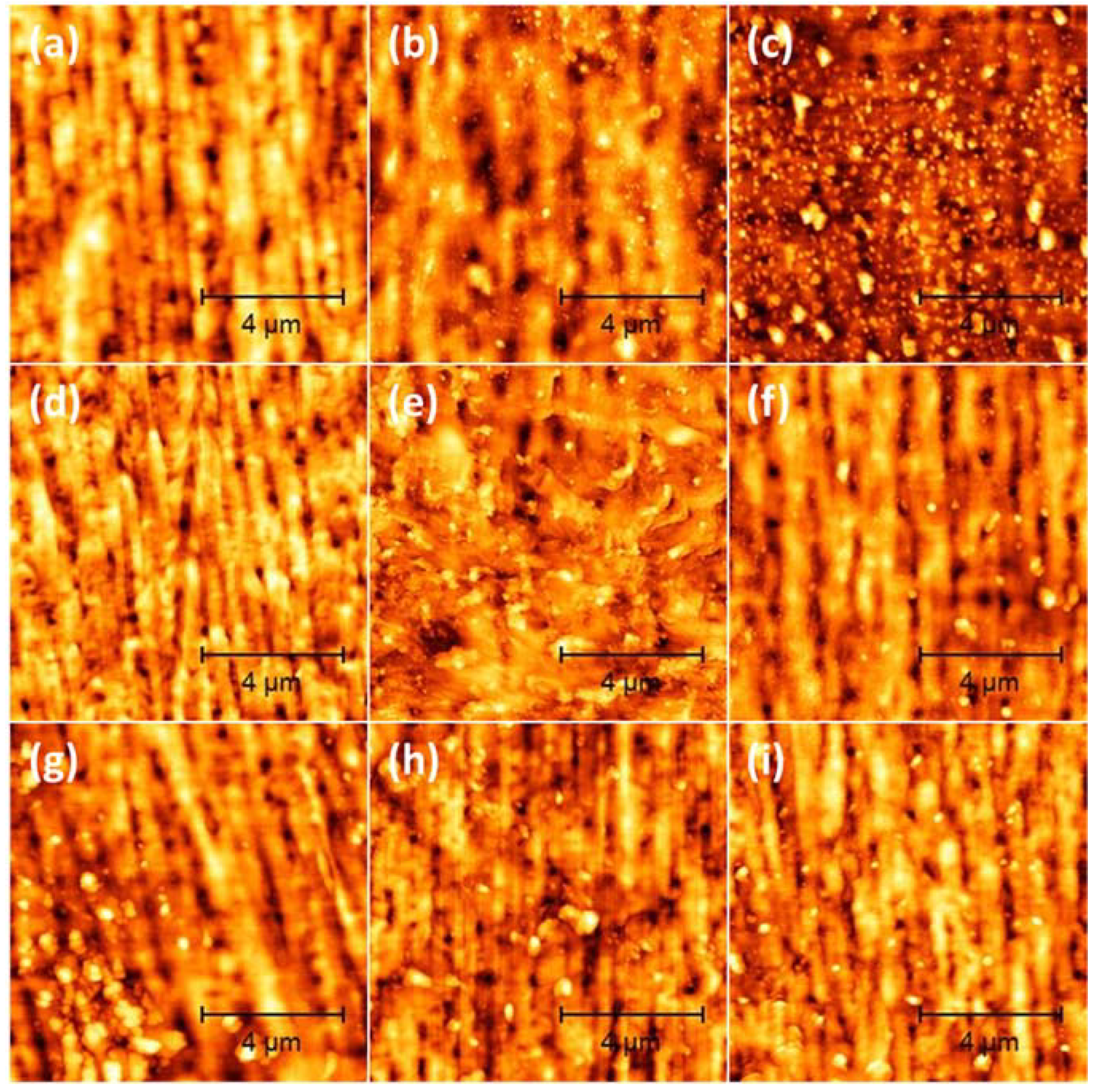Coatings 12 00220 g002