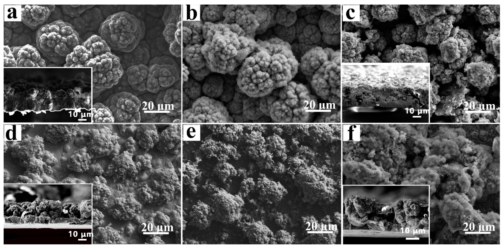 Coatings 12 00222 g002