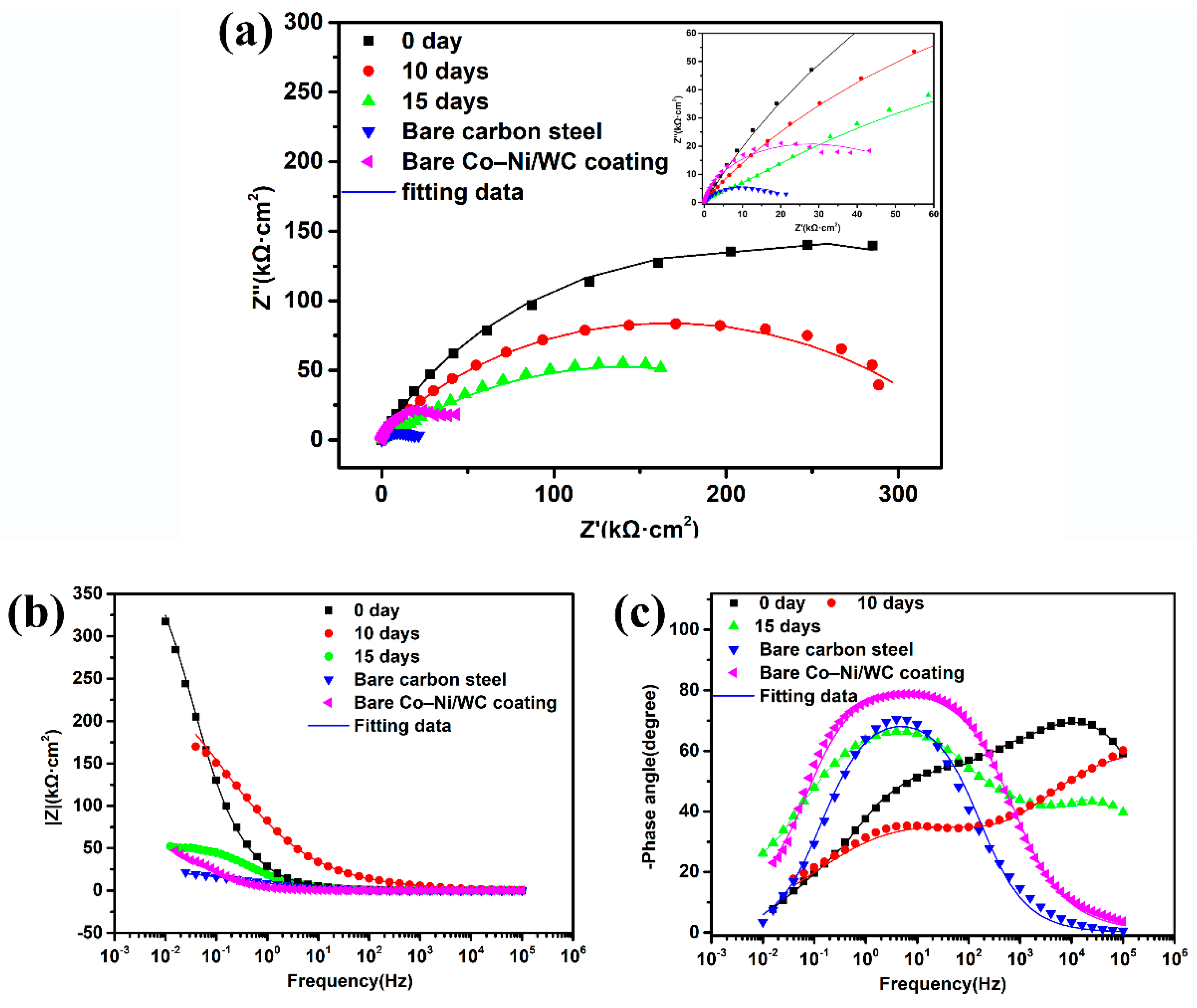 Coatings 12 00222 g008