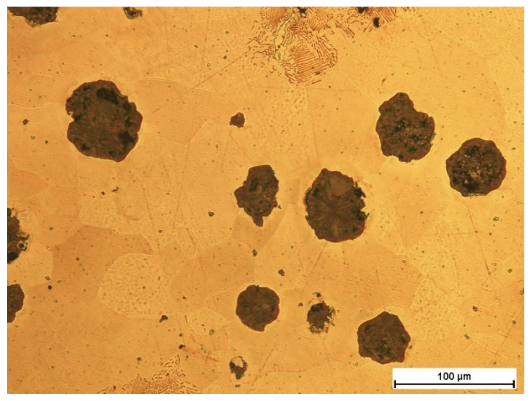 Coatings 12 00227 g001