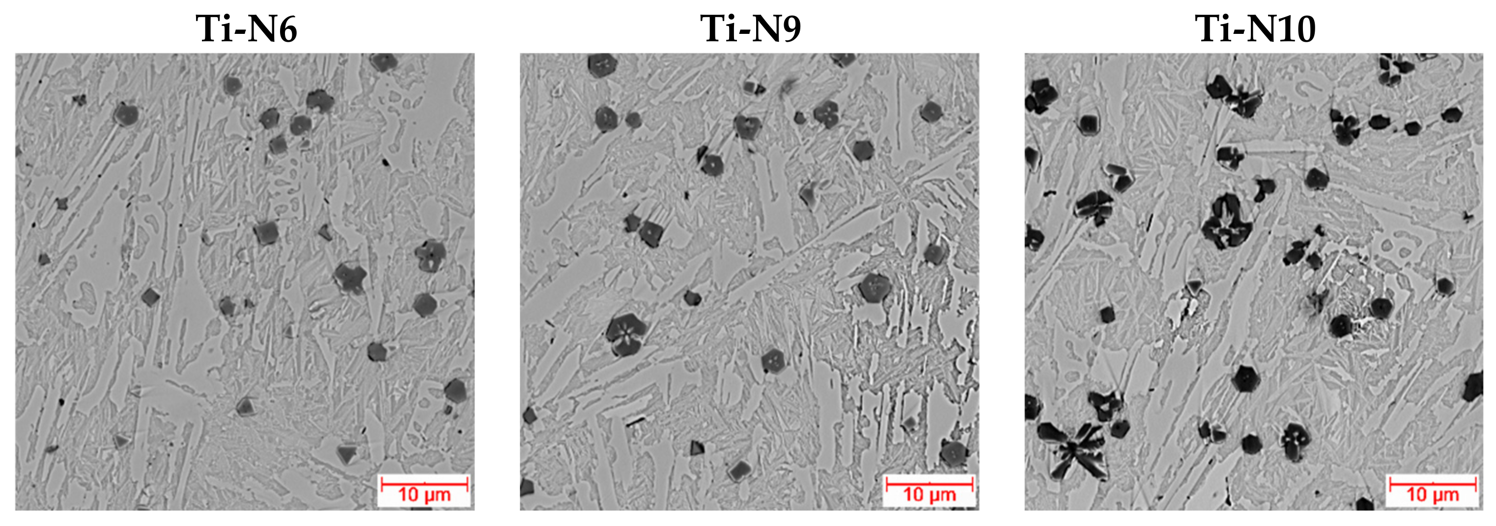 Coatings 12 00227 g005