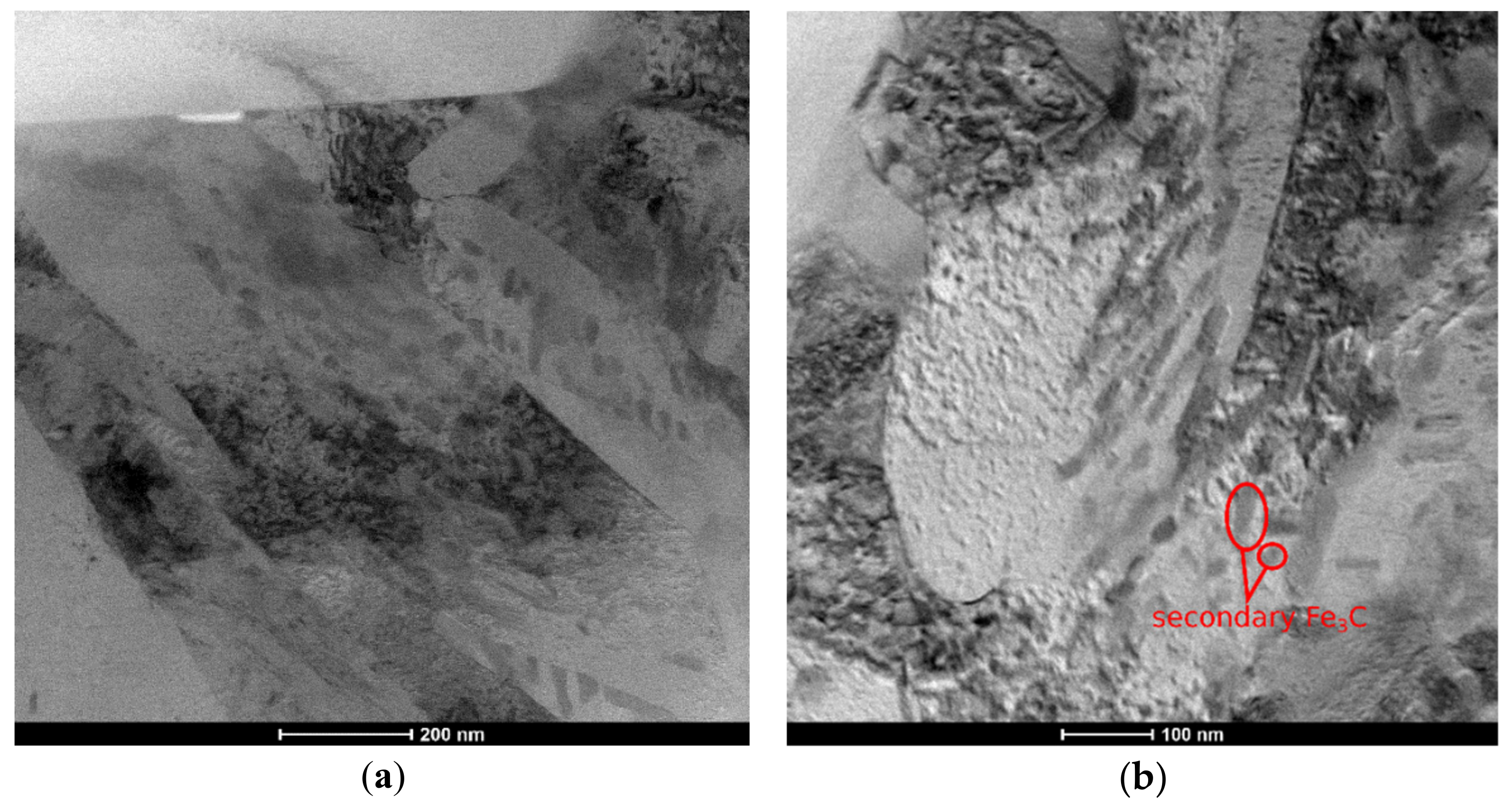 Coatings 12 00227 g009