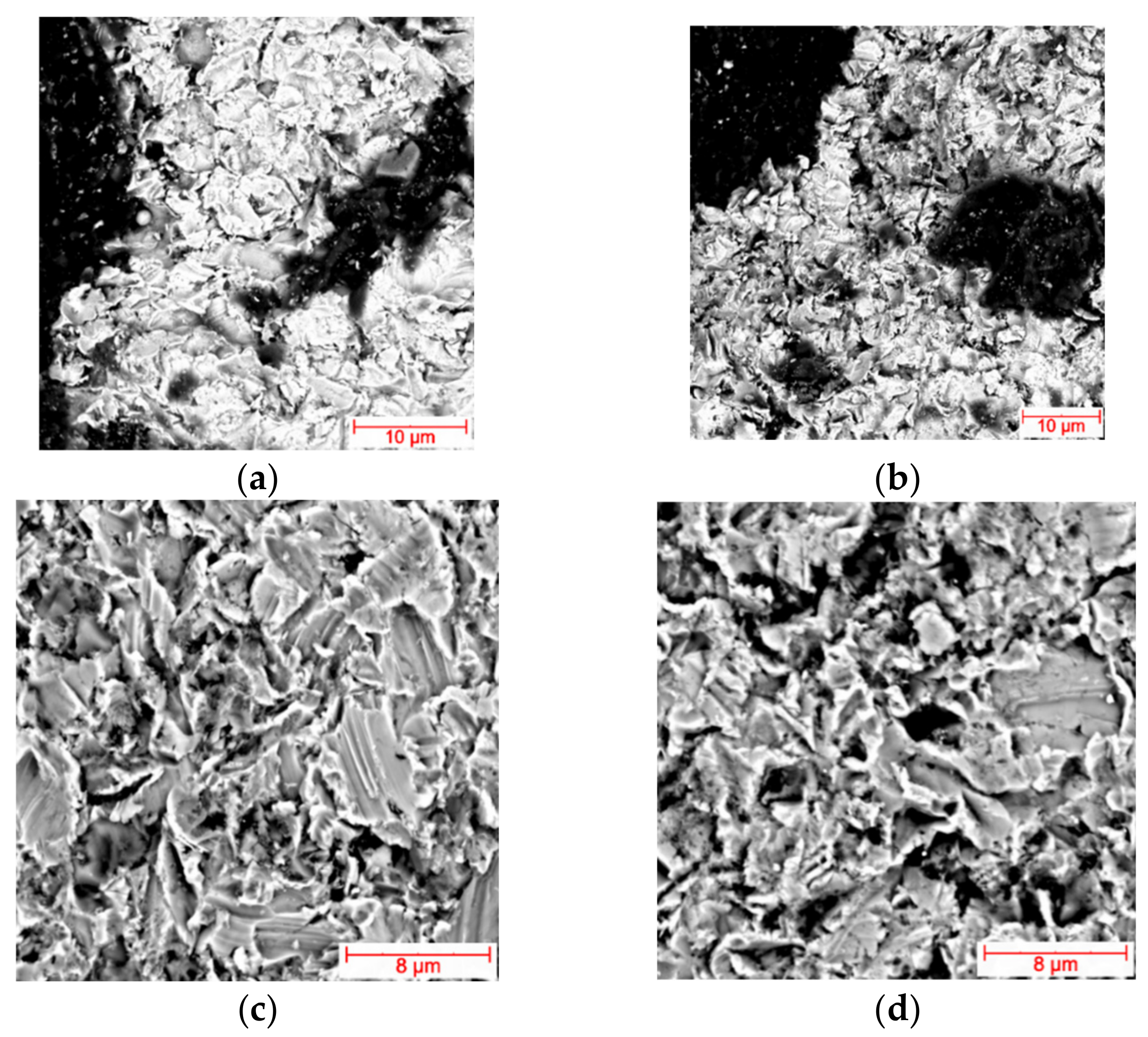 Coatings 12 00227 g011