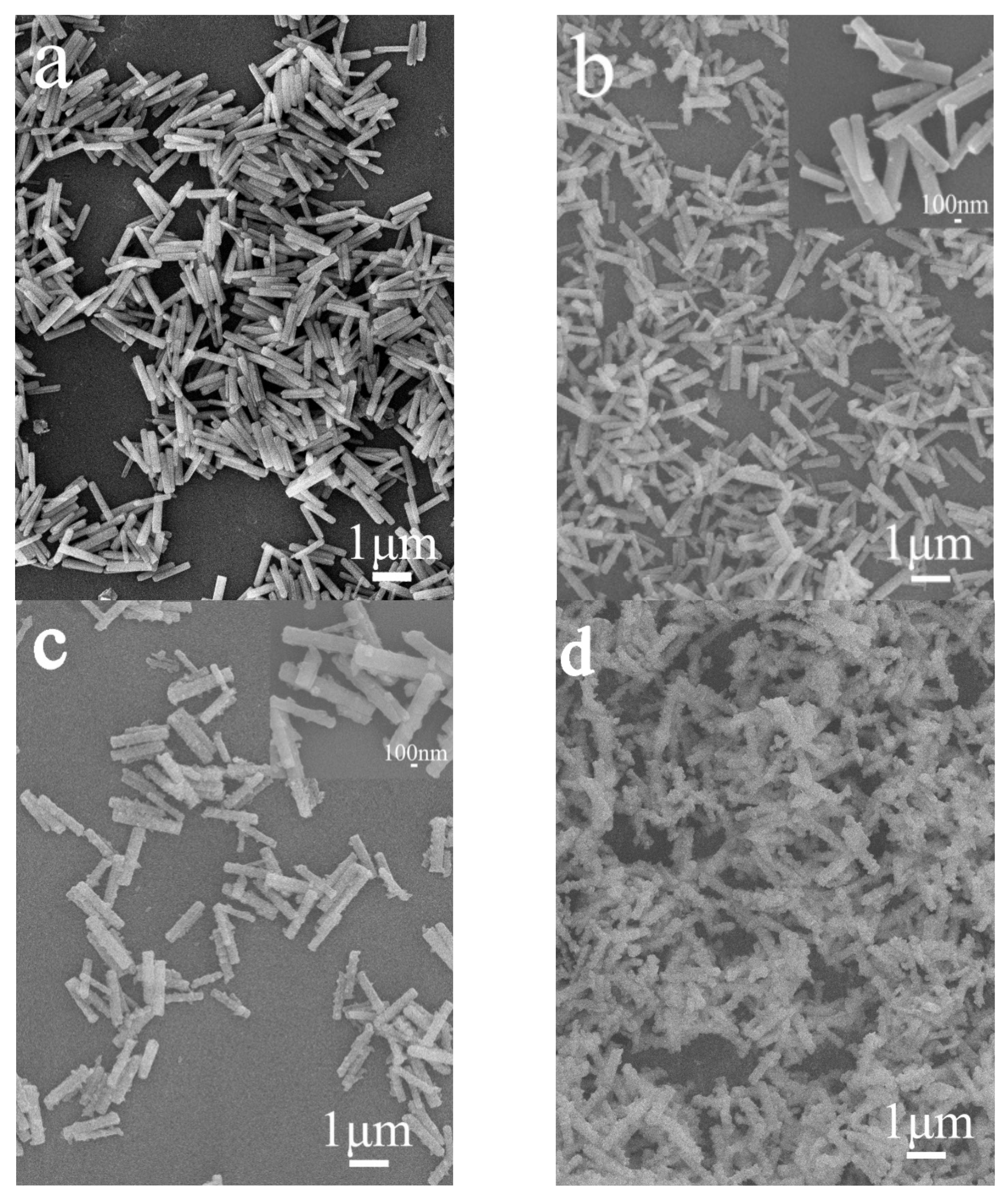 Coatings 12 00230 g003