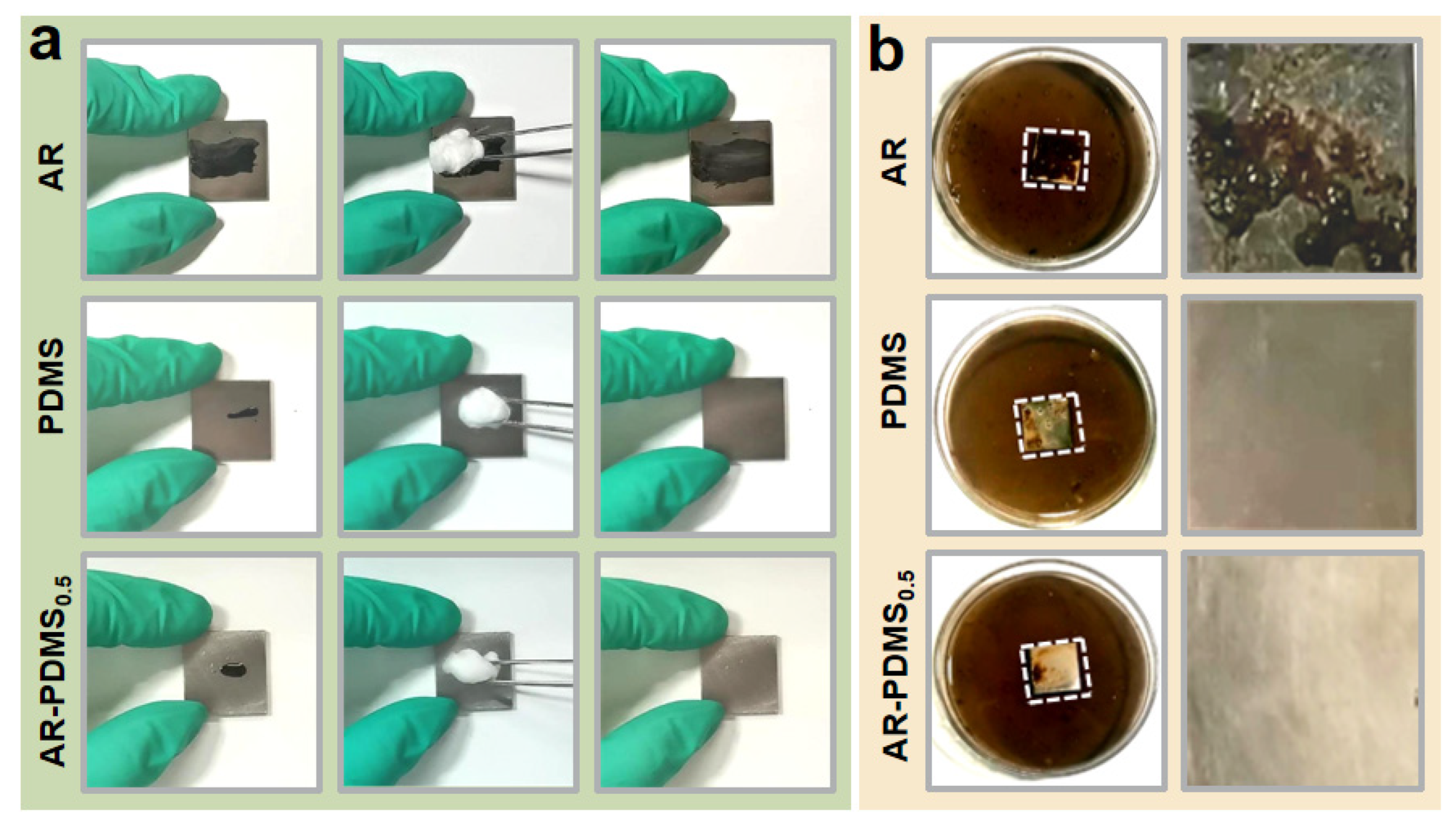 Coatings 12 00232 g005
