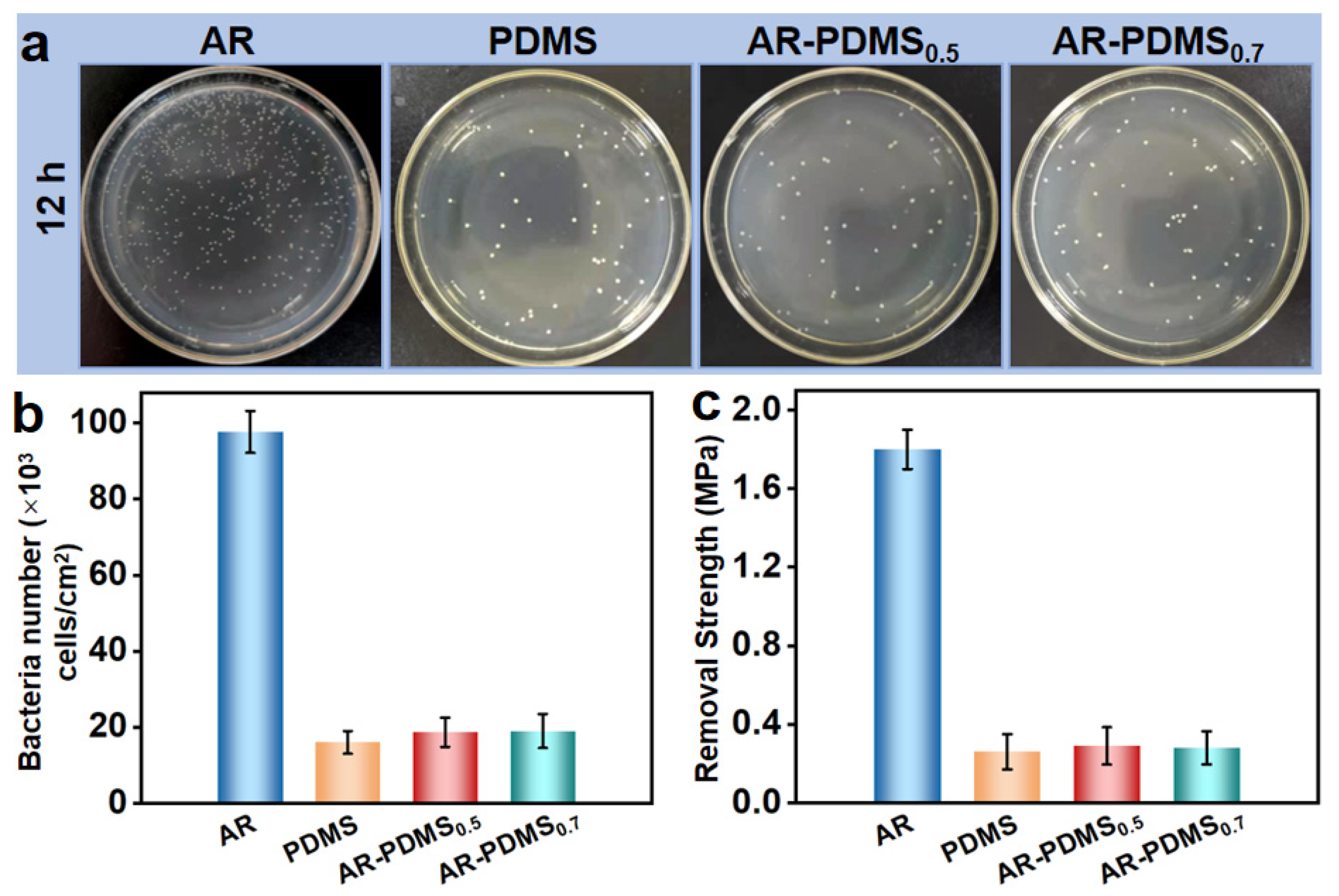 Coatings 12 00232 g006