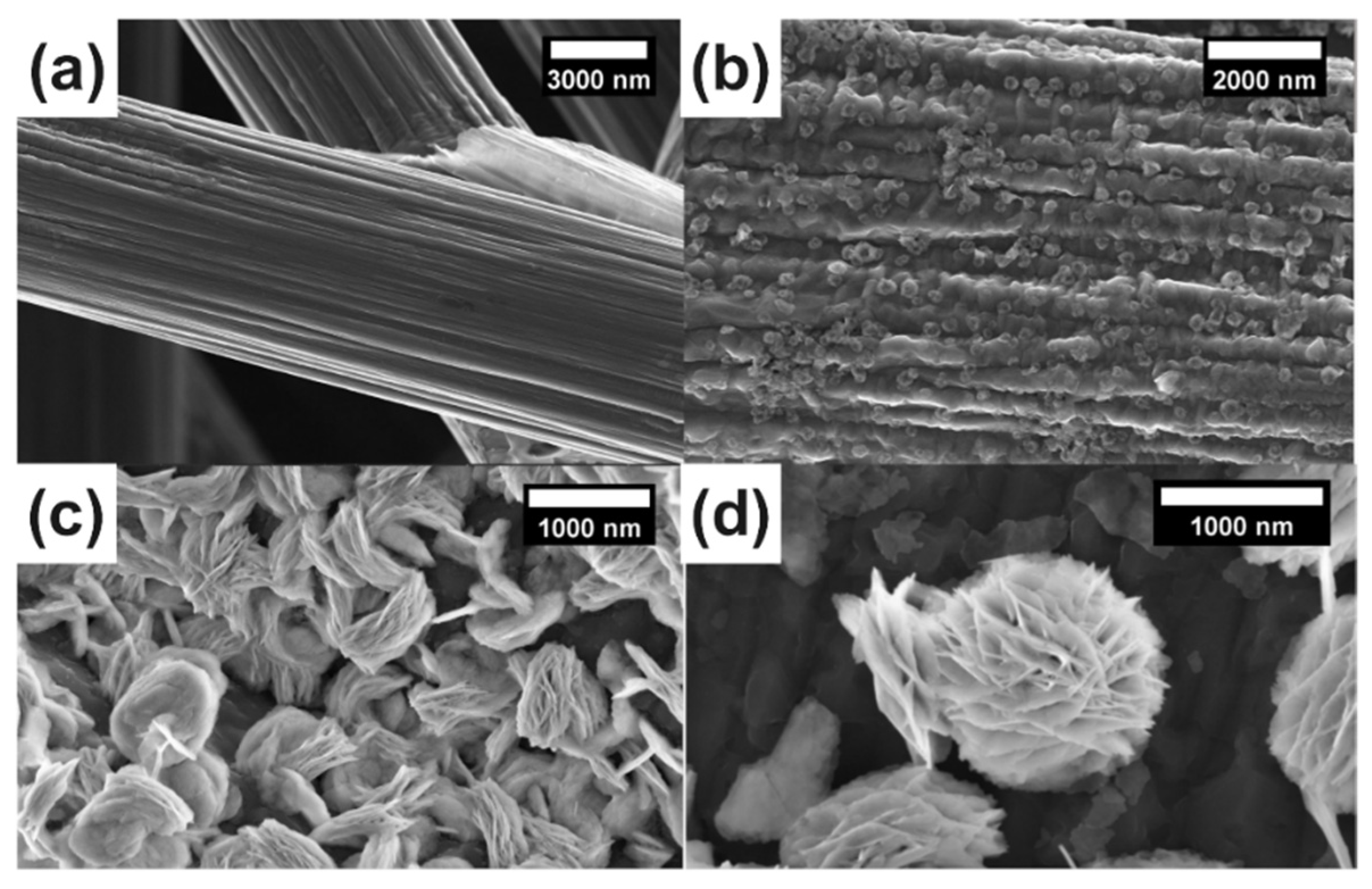 Coatings 12 00233 g001