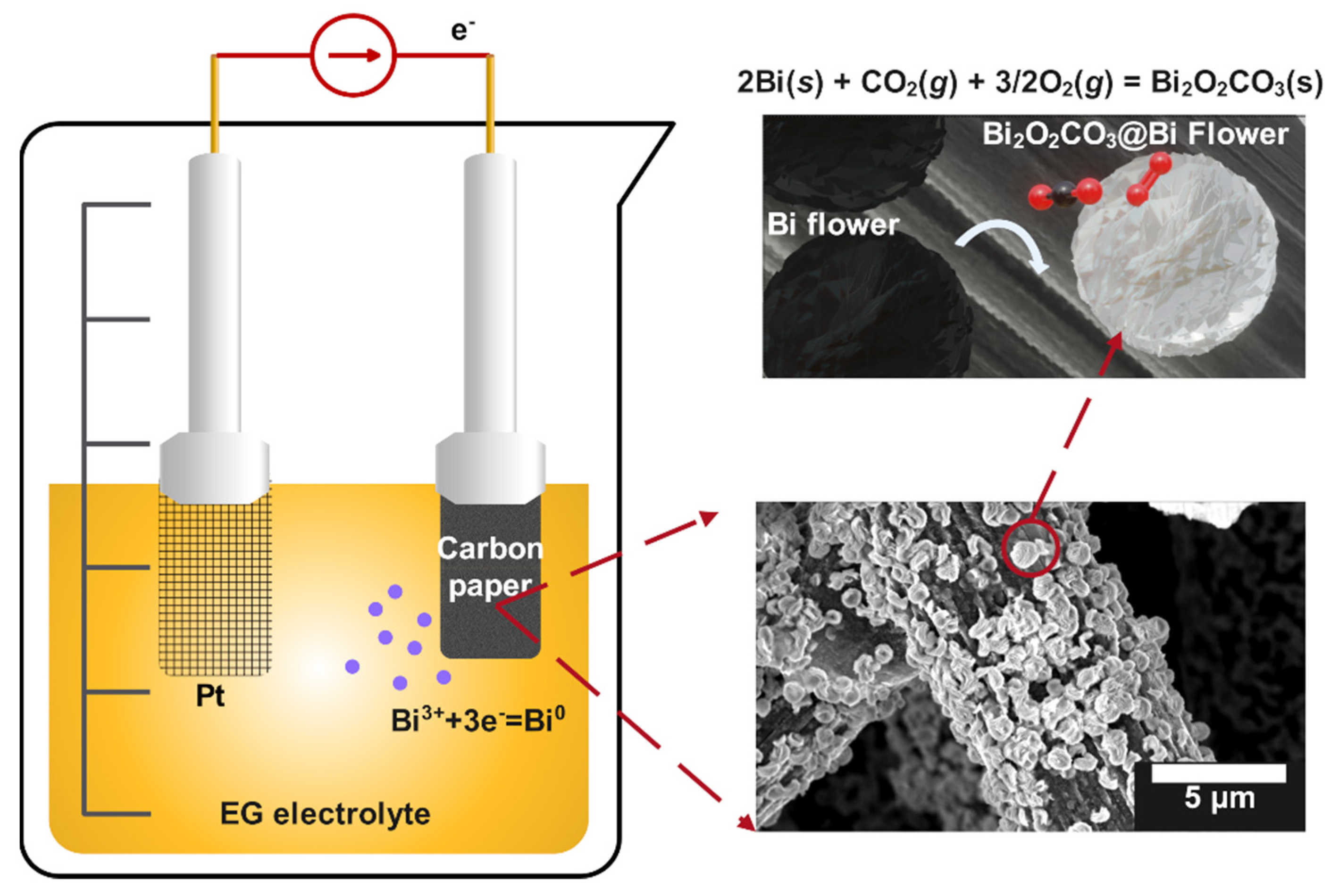 Coatings 12 00233 sch001