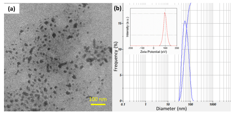 Coatings 12 00235 g001