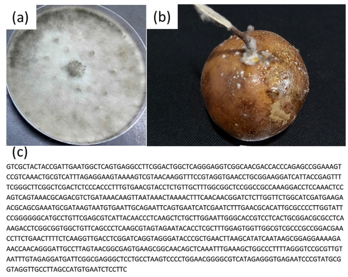 Coatings 12 00235 g003