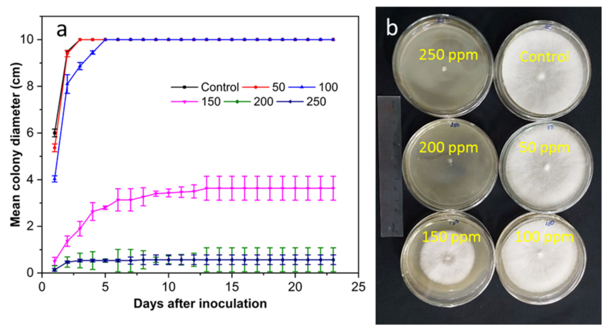 Coatings 12 00235 g005