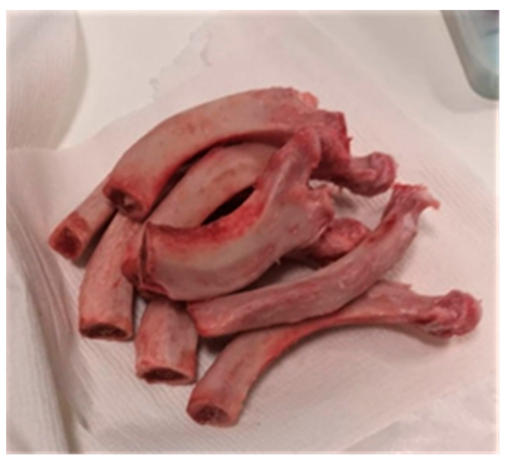 Coatings 12 00240 g001