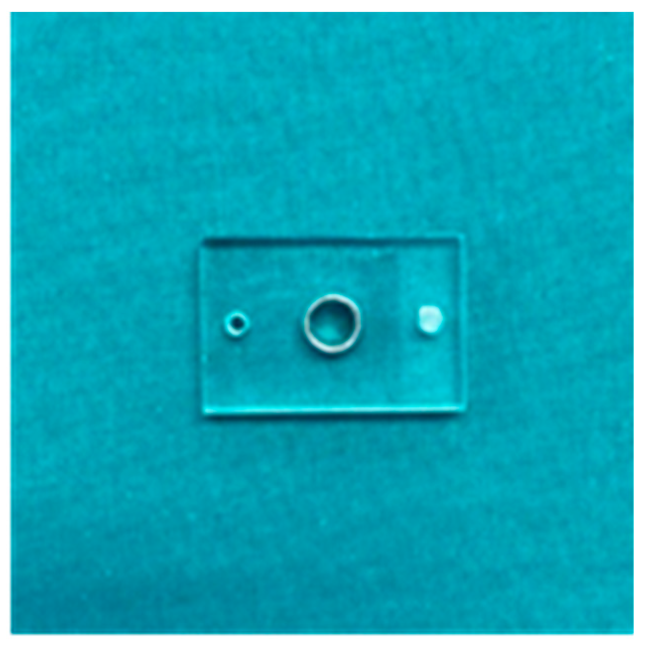 Coatings 12 00240 g002