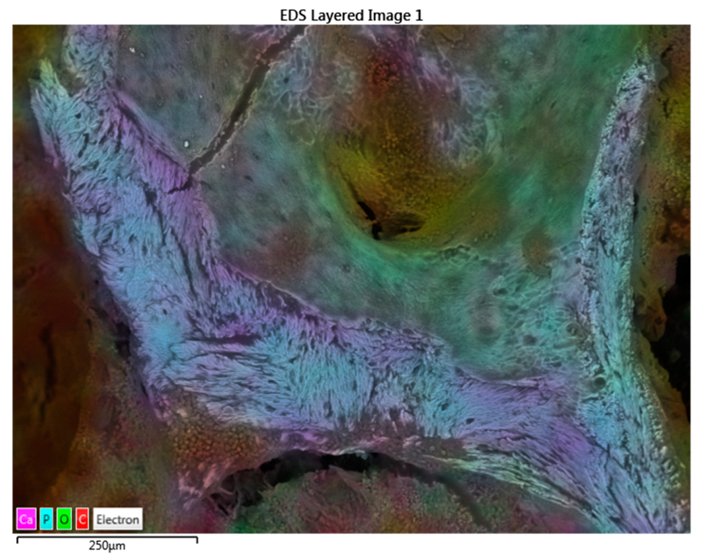 Coatings 12 00240 g005