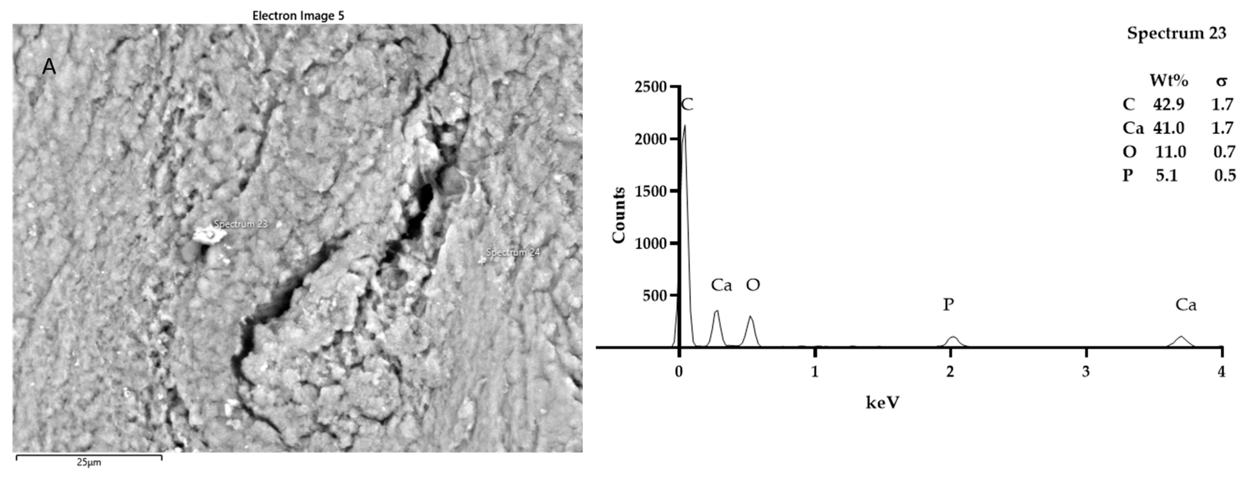 Coatings 12 00240 g006a