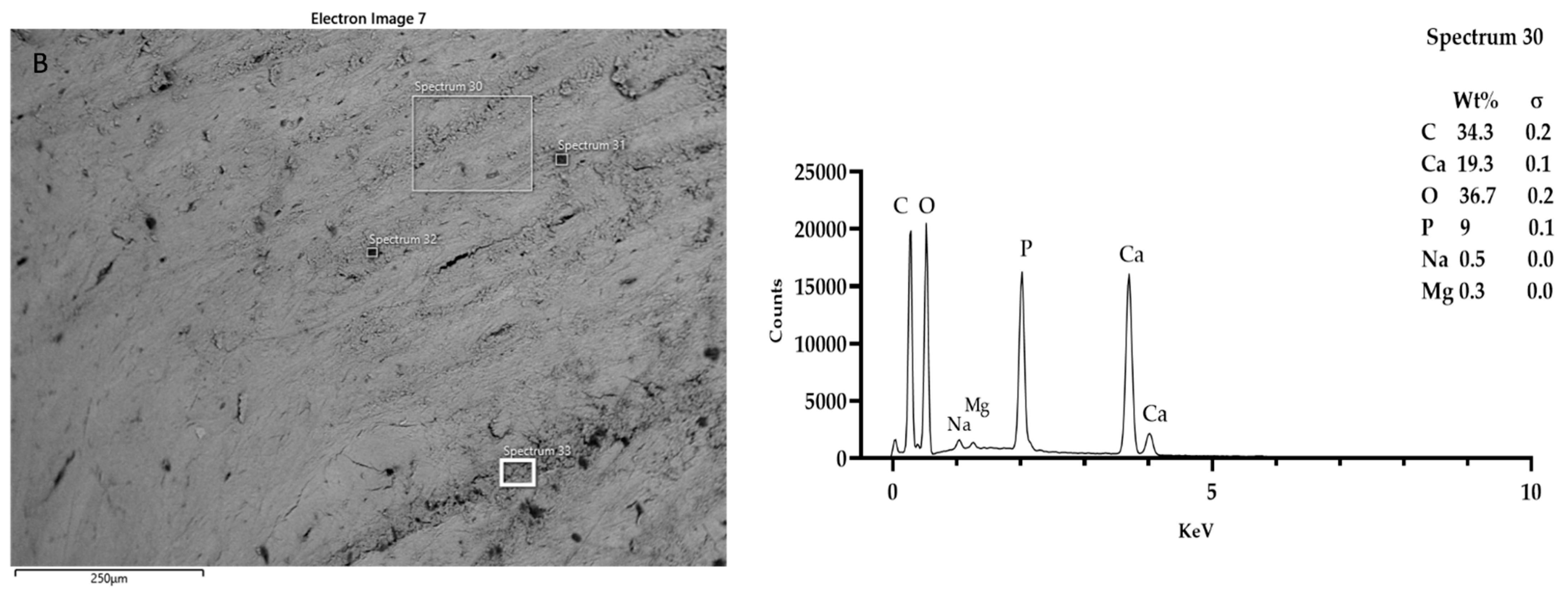 Coatings 12 00240 g006b