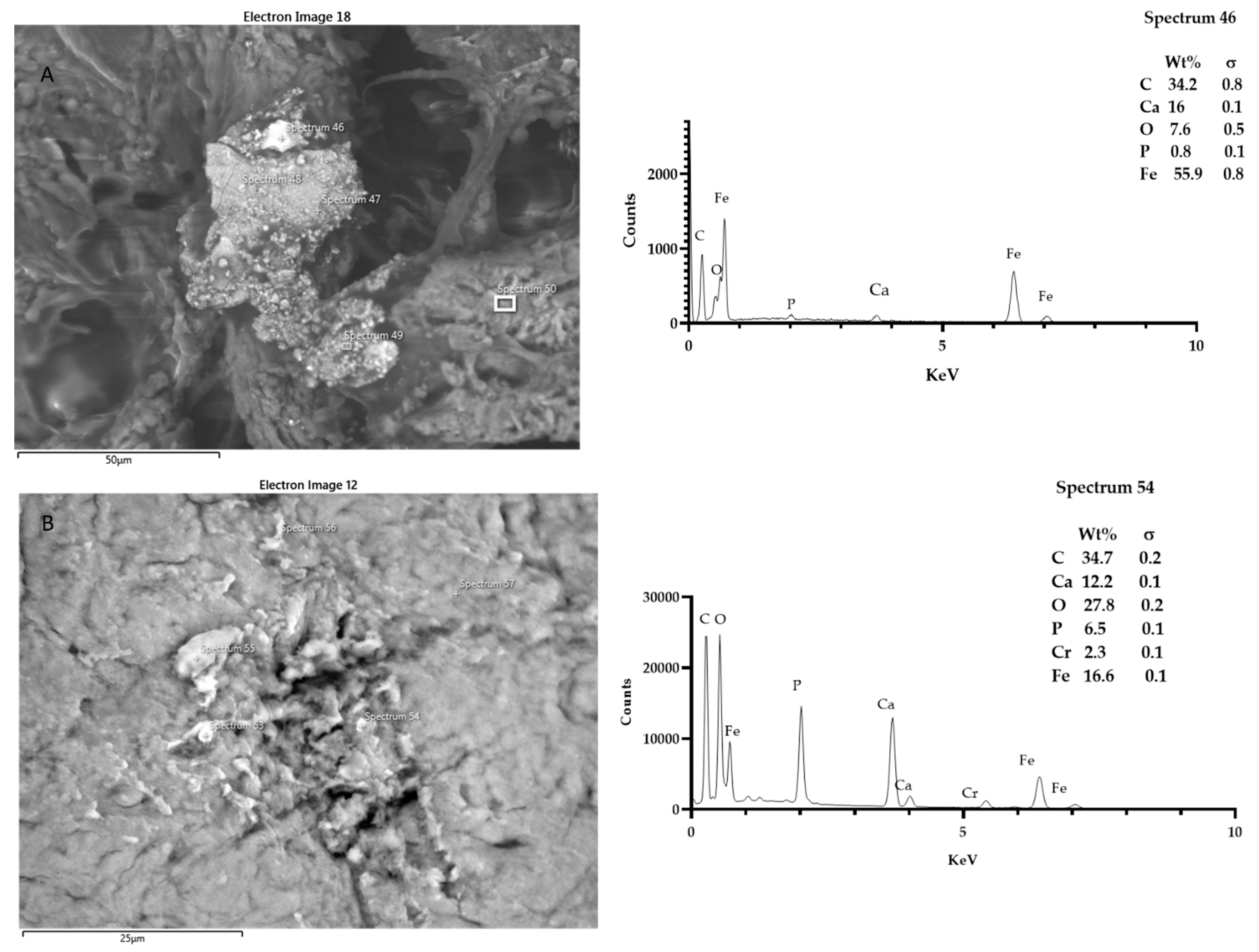 Coatings 12 00240 g007